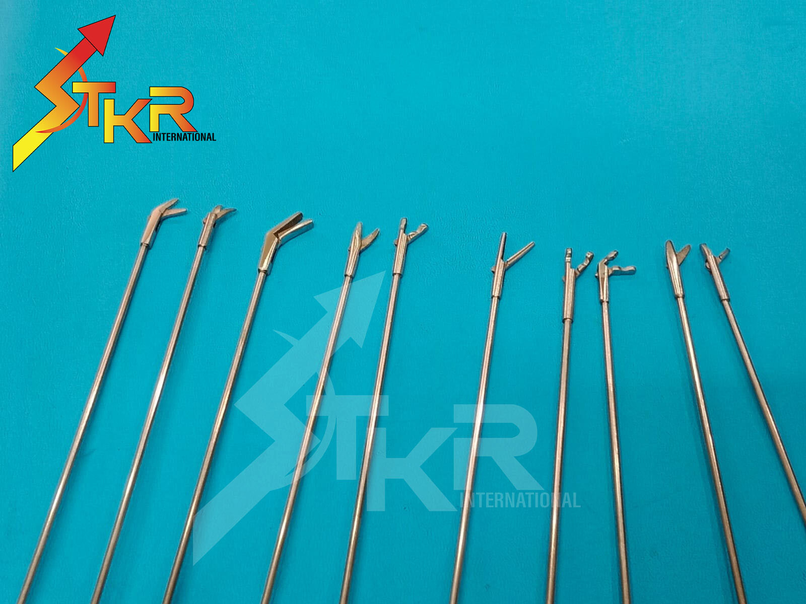 Micro Laryngeal Forceps Different Tapes of Length 10 PCS Forceps 25cm
