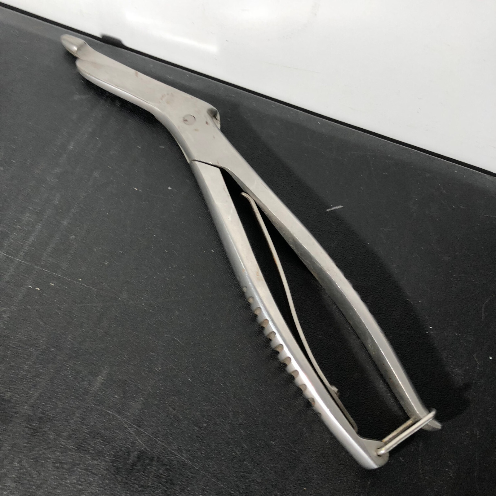 Vtg RICHARDS Cast & Plaster Shears Rare