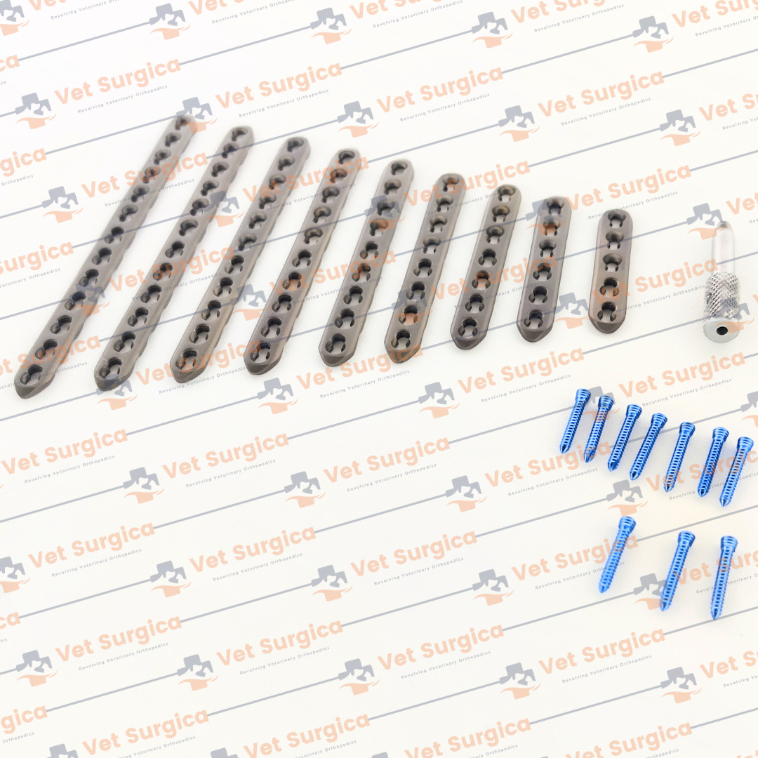 2.4mm Safety Locking Small Straight Plates 5H to 13 Holes & Screws 71 Pcs Set Ti