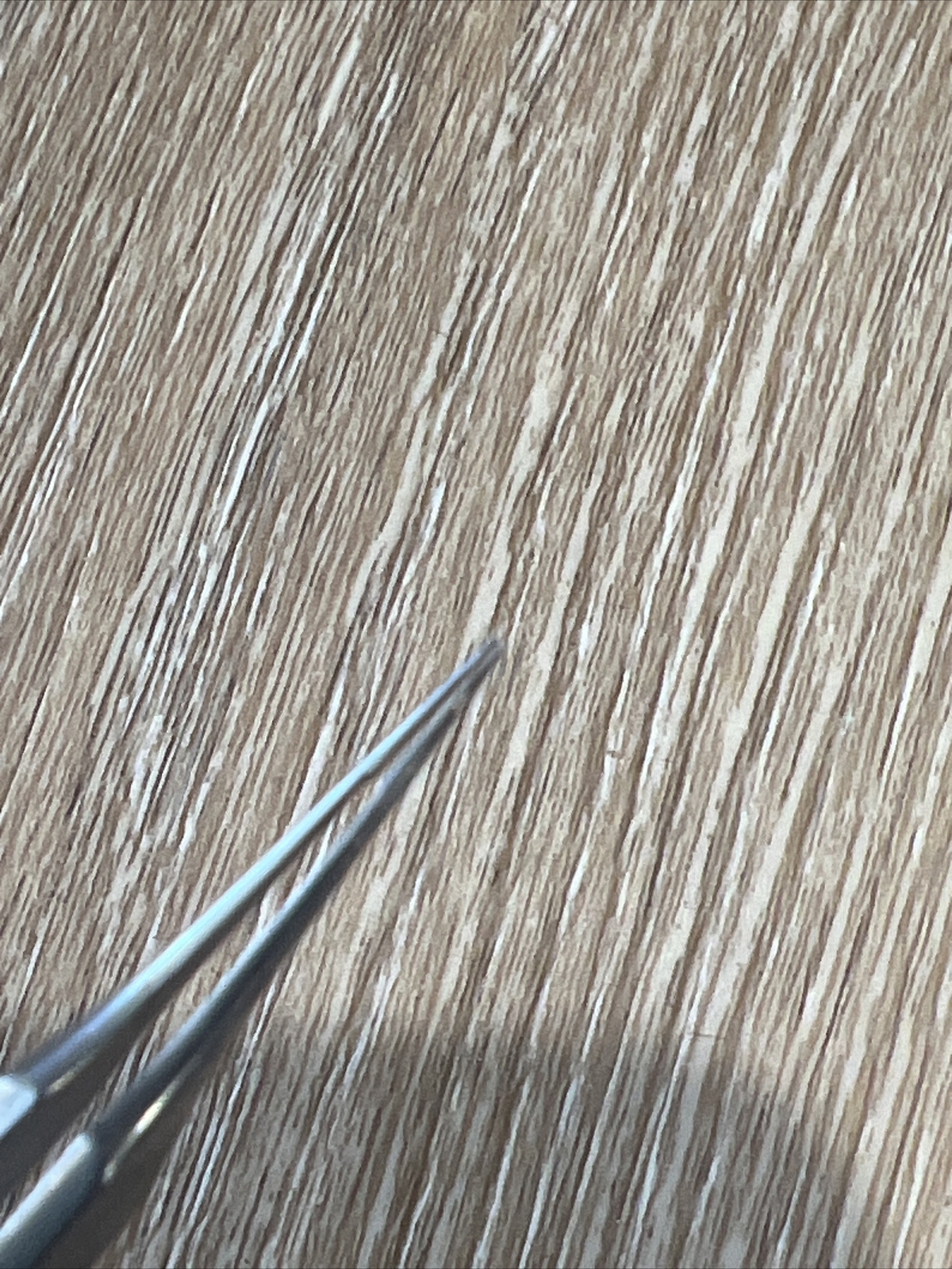 Bonn Suturing Forceps Ophthalmology Ophthalmic