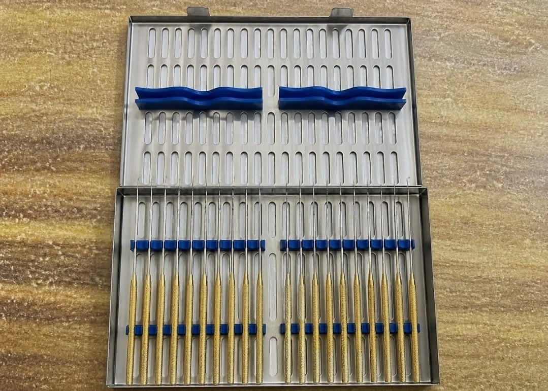 Rhoton Micro Dissector Set 20Pcs Gold Neurosurgery Instruments