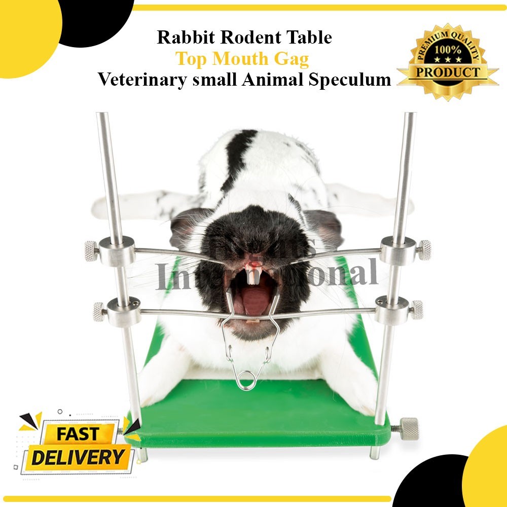 Rabbit Rodent Table Top Mouth Gag Veterinary small Animal Speculum