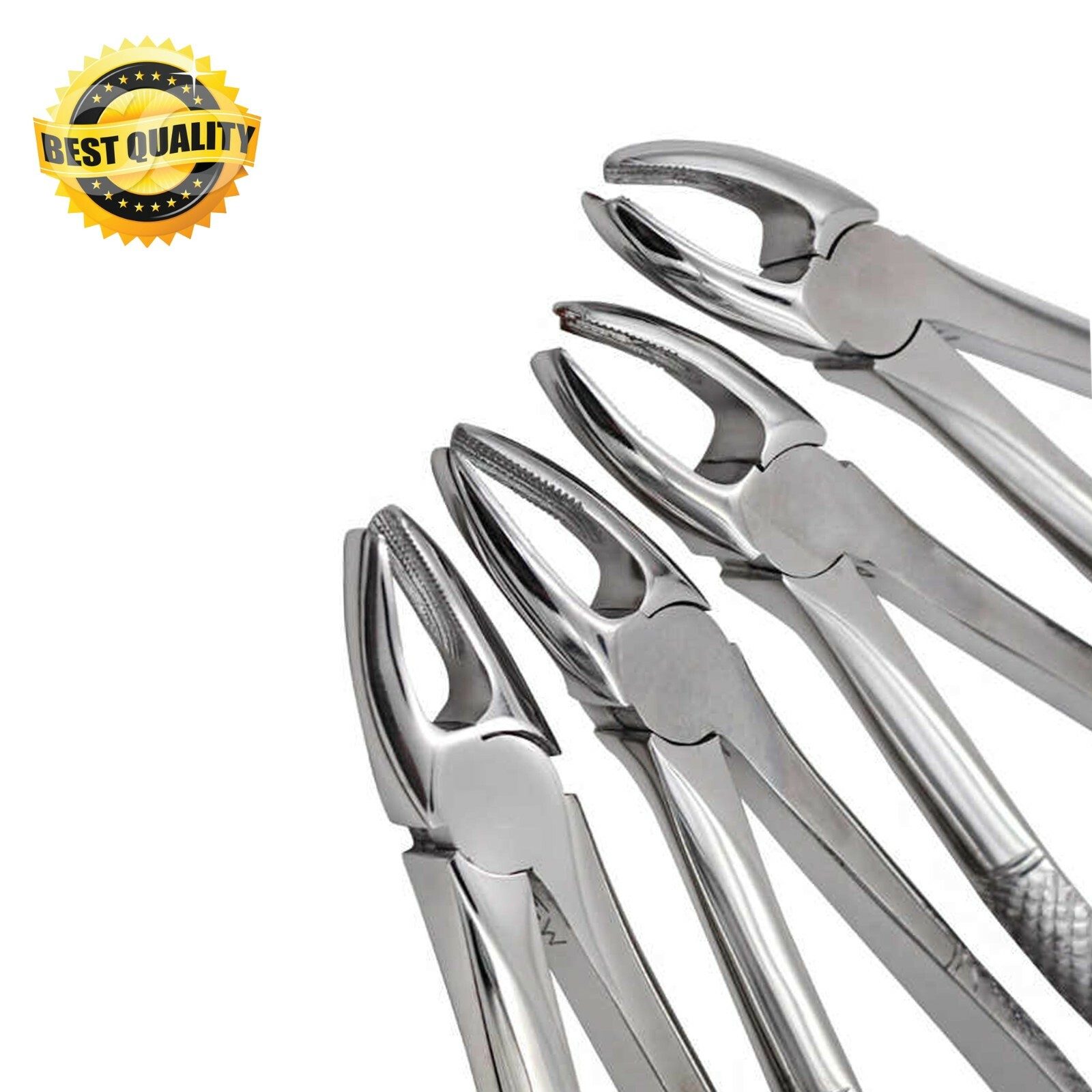 10 Pcs English Pattern Tooth Extracting Forceps Set Dental Instruments