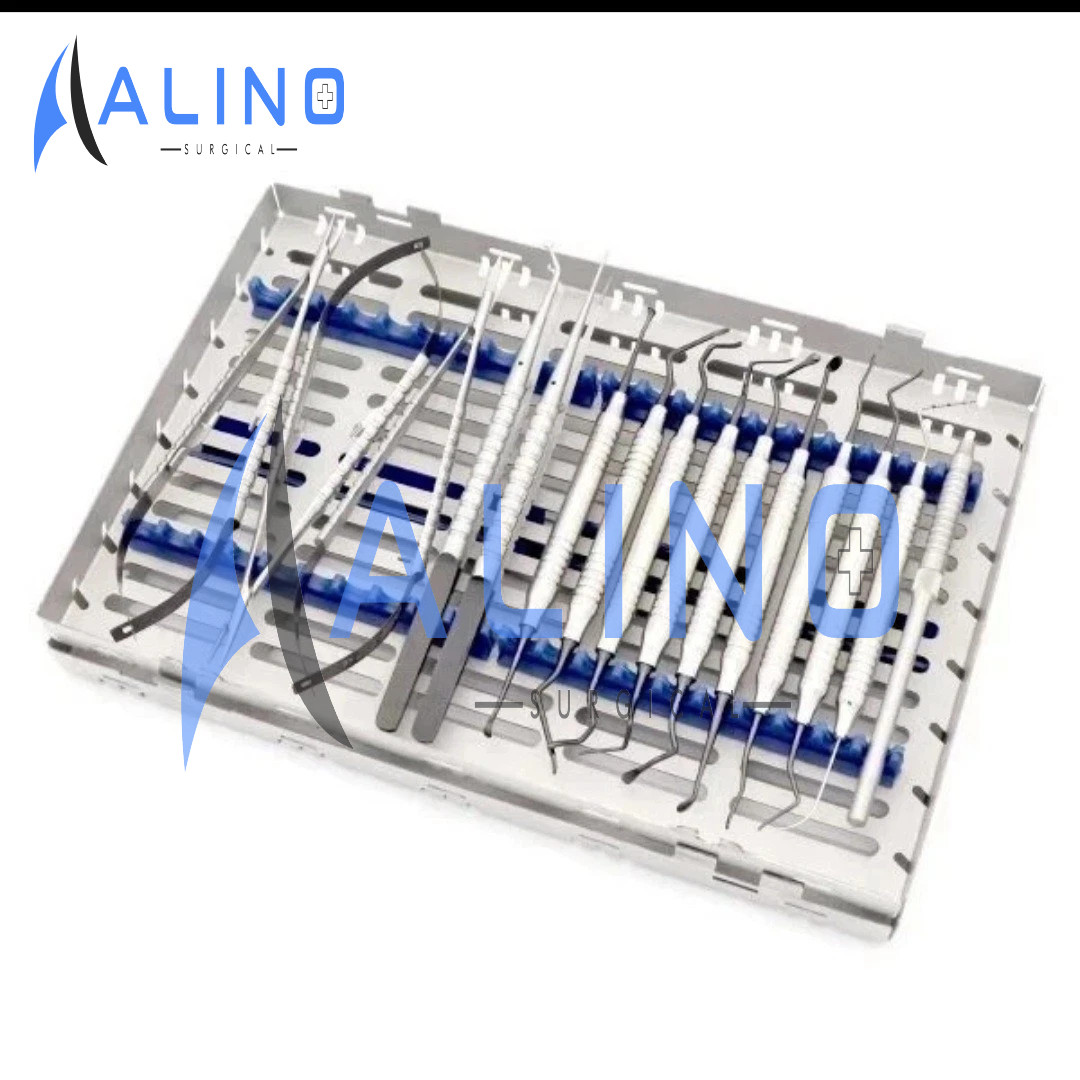 Micro Periodontal Oral Surgery Kit Periosteal Set Dental Mucogingival Instrument