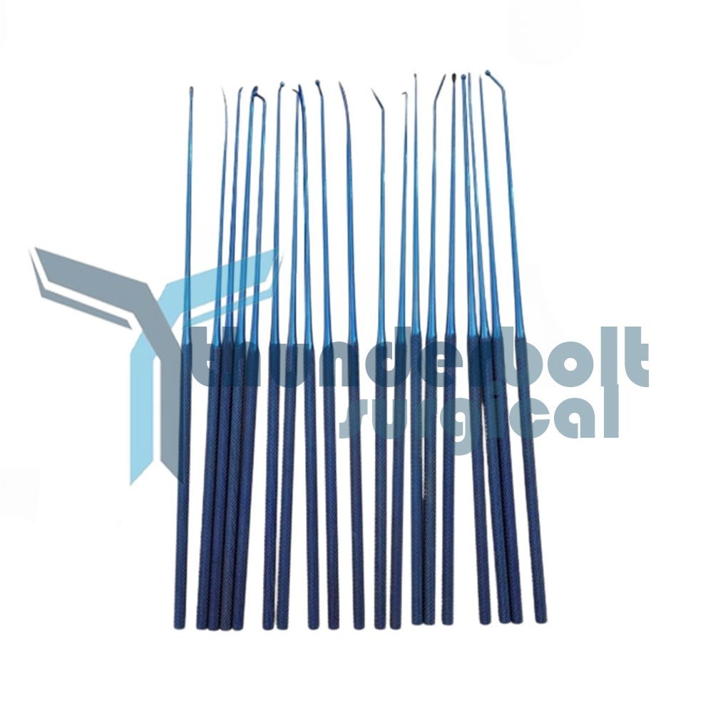 Rhoton Micro Dissector 19 Pcs Set Titanium Coated + Premium Stainless Steel Box