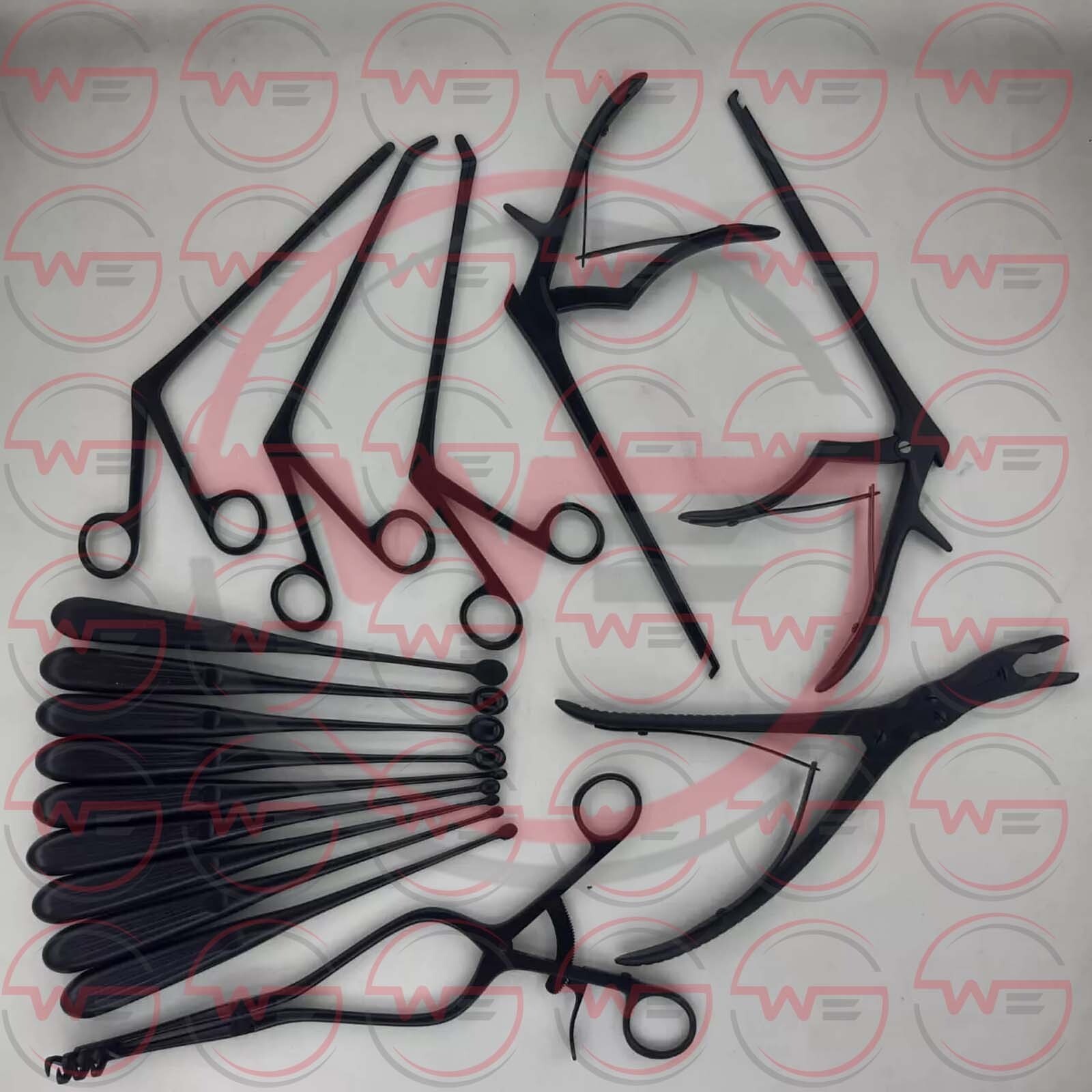 Basic Laminectomy Set Black Coated Surgical Orthopedics Instruments 16 PCS A+