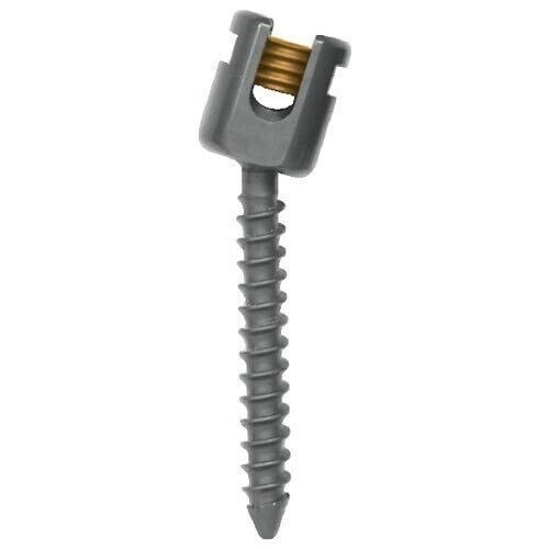 Titanium Veterinary Spine Screws Surgery Polyaxial Spinal Instrument (5PCS)