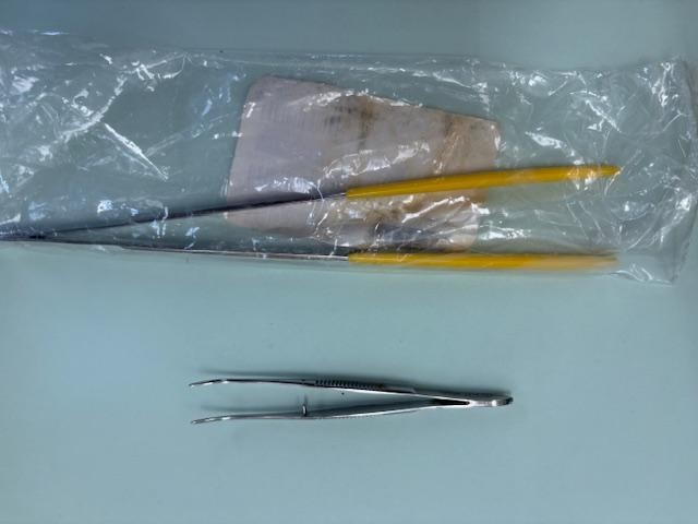 Sealed Thomas Scientific Coated Forceps 8″ Straight Stainless Steel + bonus