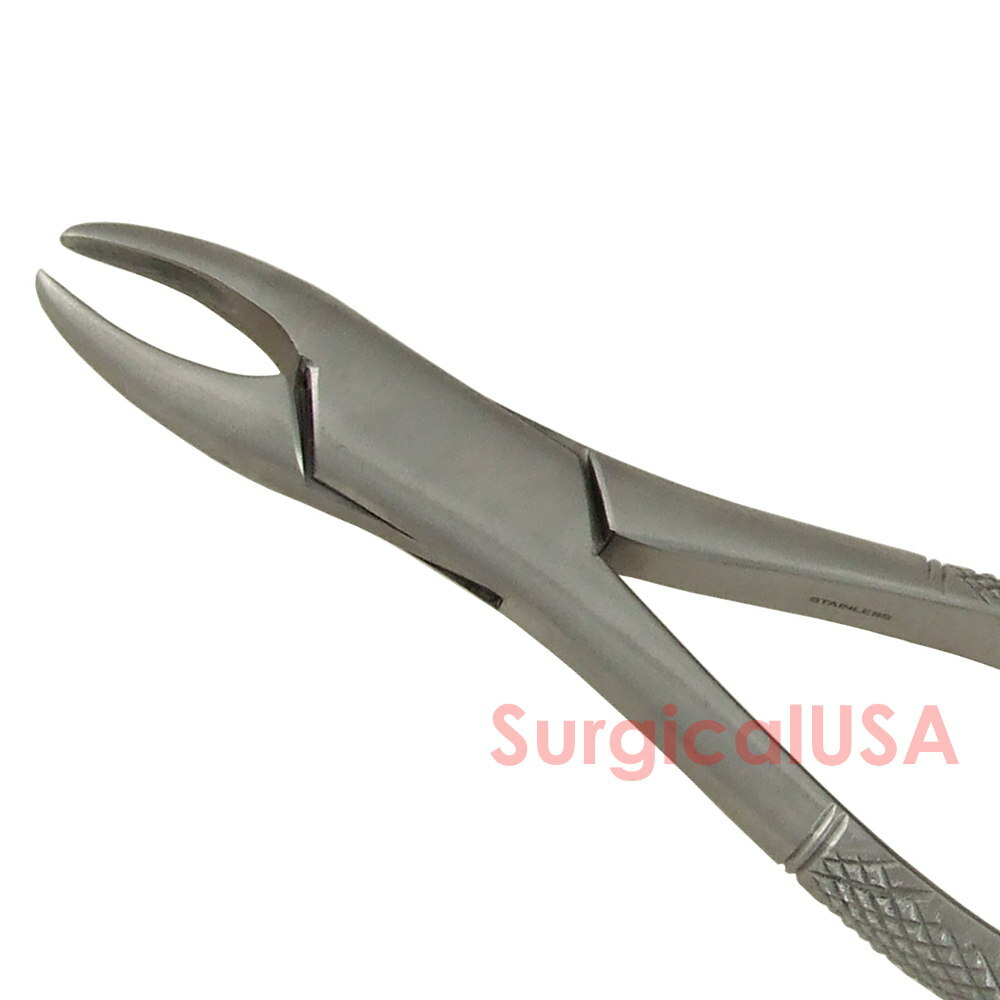 Dental Extracting Forceps #1HEN Serrated Beaks Dentist Surgical Instruments