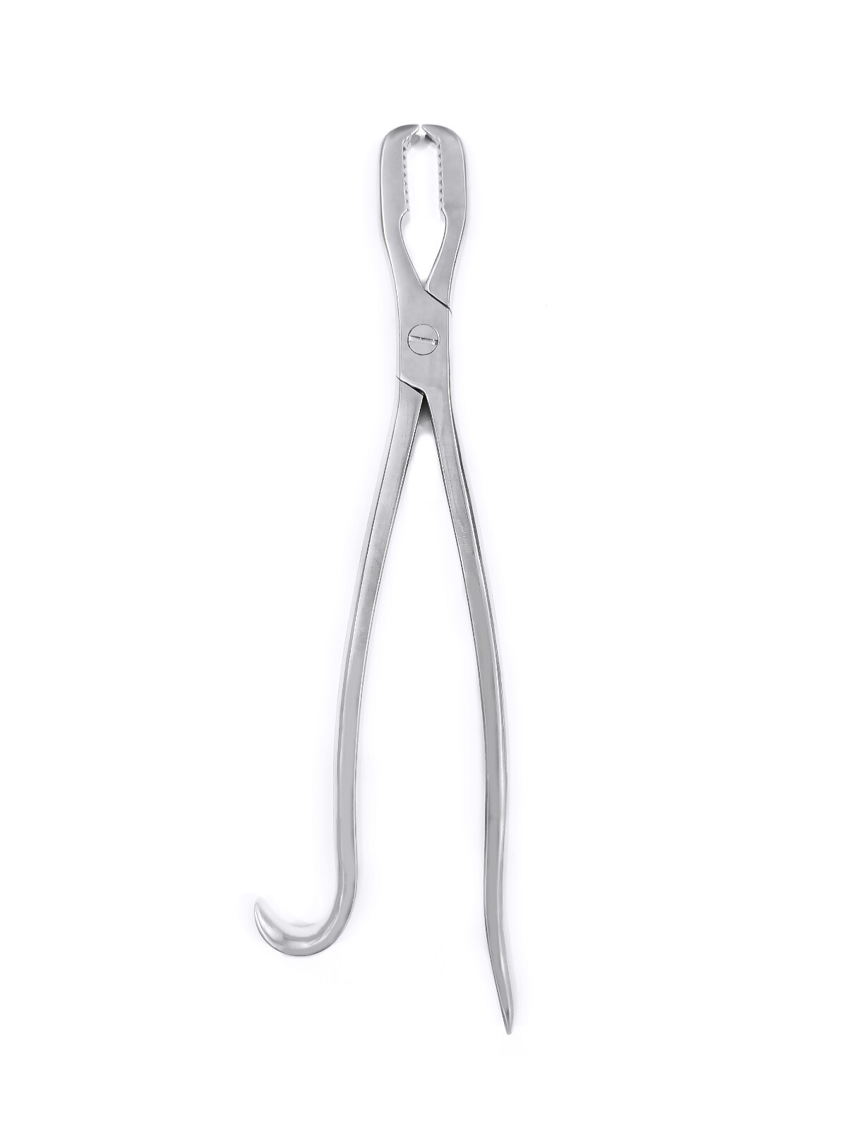 Lane bone holding forcep 10 inch veterinary surgical instrument