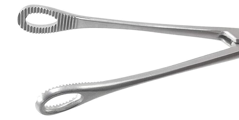 Premium Quality Sponge Holder 8 Inch (Pack of 1) Surgical Instrument
