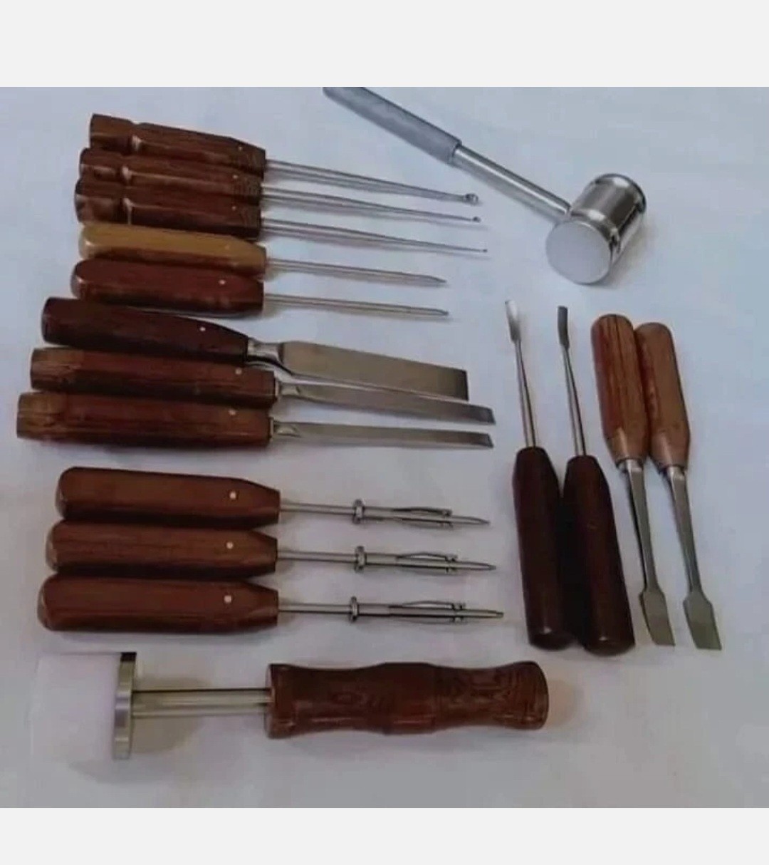 Orthopedic Surgical Tool Kit – 17 Pcs | Bone Surgery, Veterinary, Medical Educat