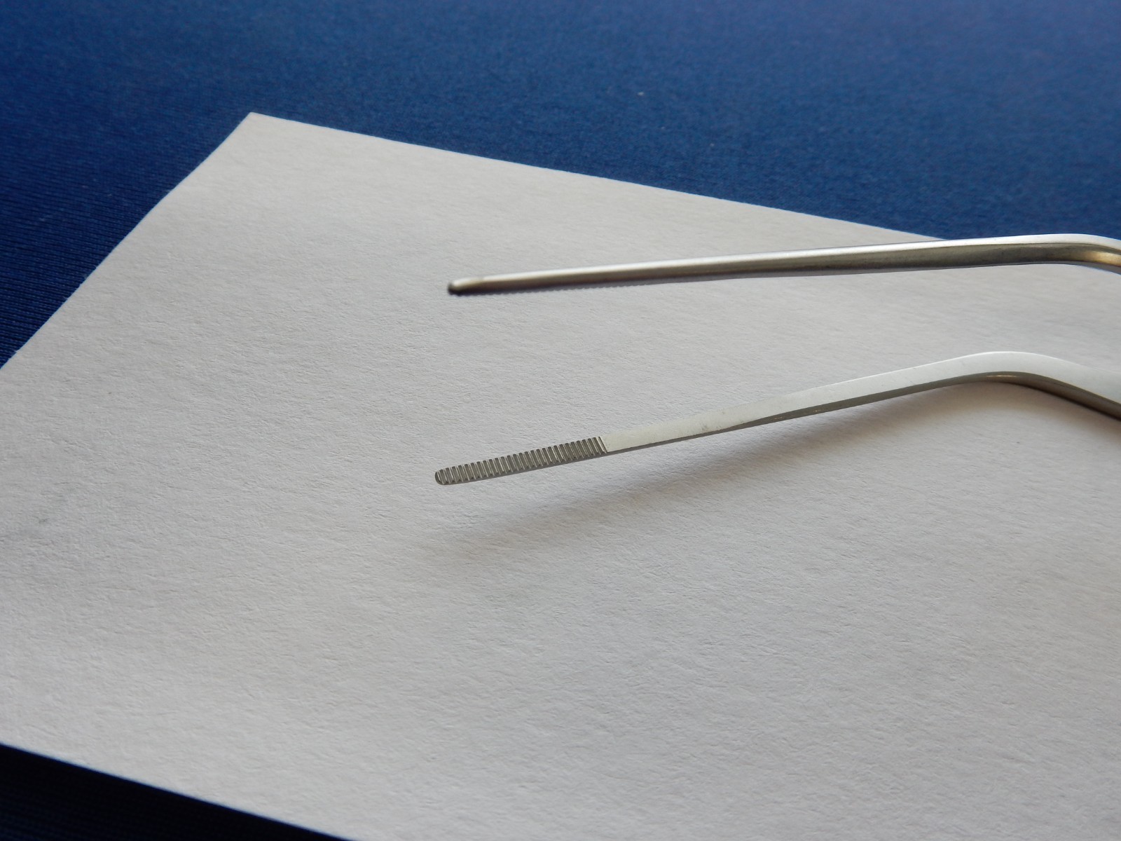 Aesculap BD878R Ear Forceps Lucae 5-1/2″
