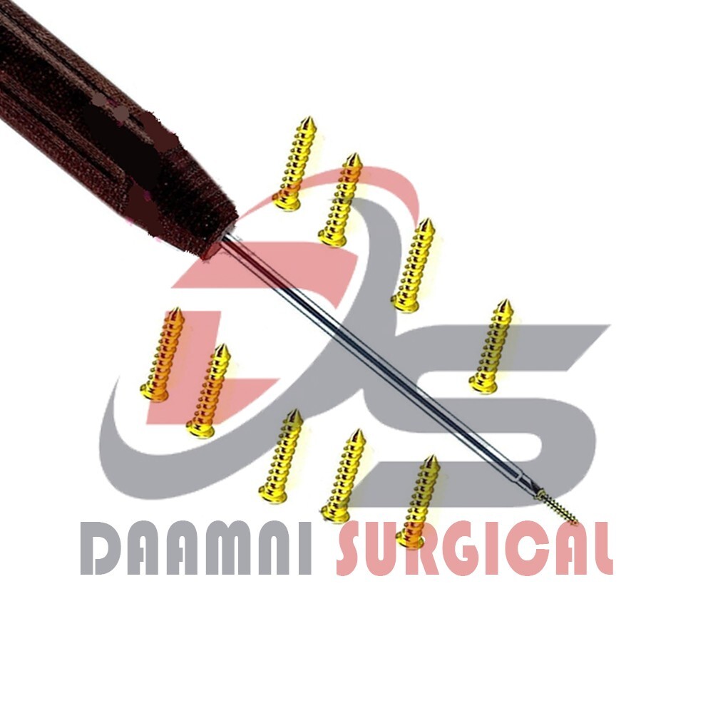 Maxillofacial Screws Cross Head Titanium 2.0mm 101 Pcs Instruments