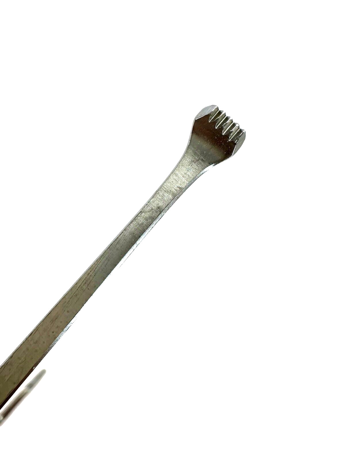 V. Mueller XMRH CH1560 ALLIS Forceps, 5 x 6 Teeth, Overall Length 10in