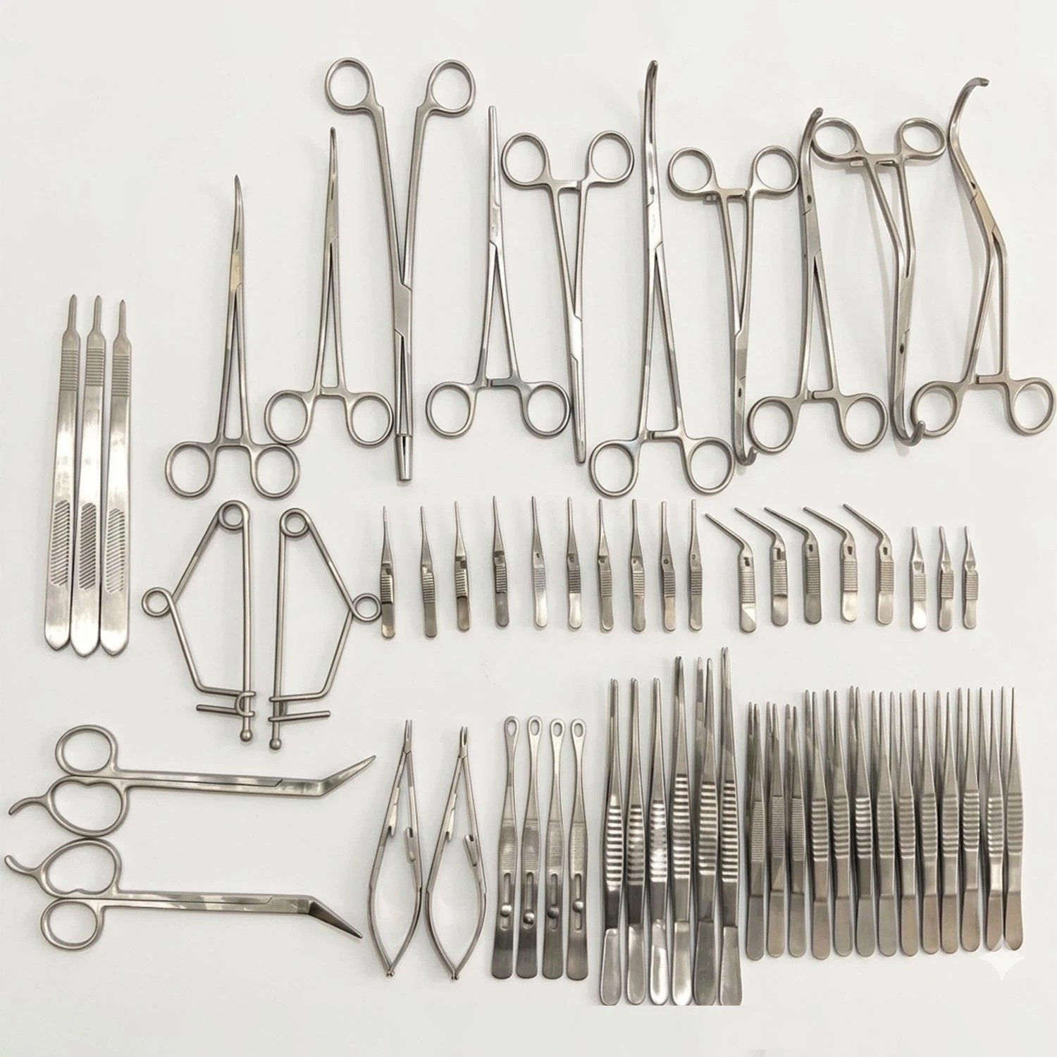 Major Vascular Surgery Set 61 PCs Specialty Surgical Instruments
