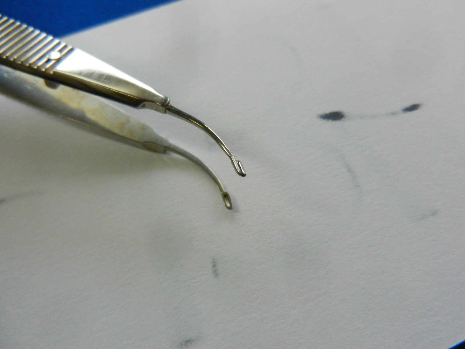 E1348 Storz Surgical Arruga Capsule Forceps E2016