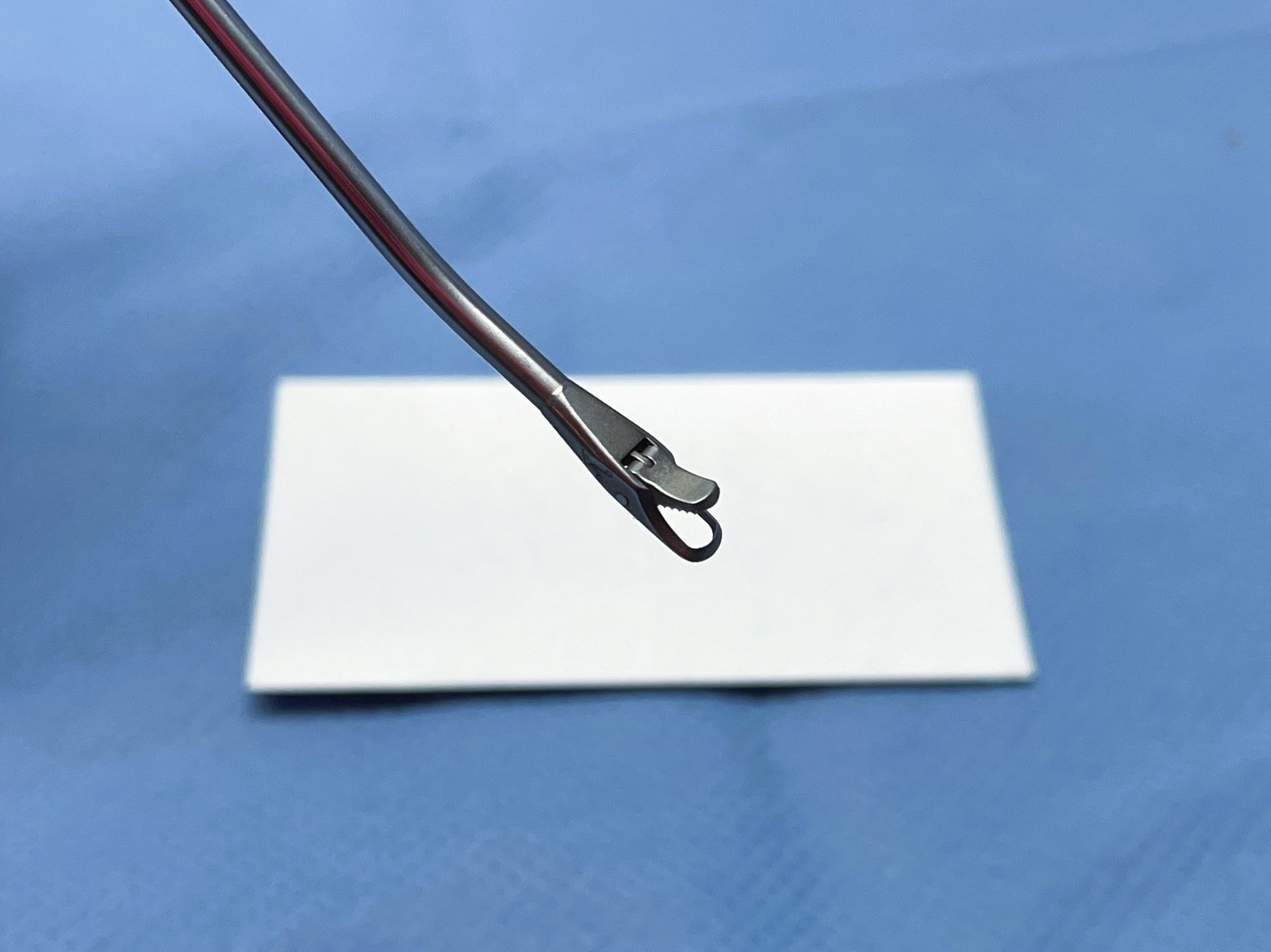 Arthrex AR-11041 Wide Biter Punch Forceps, 15° Up