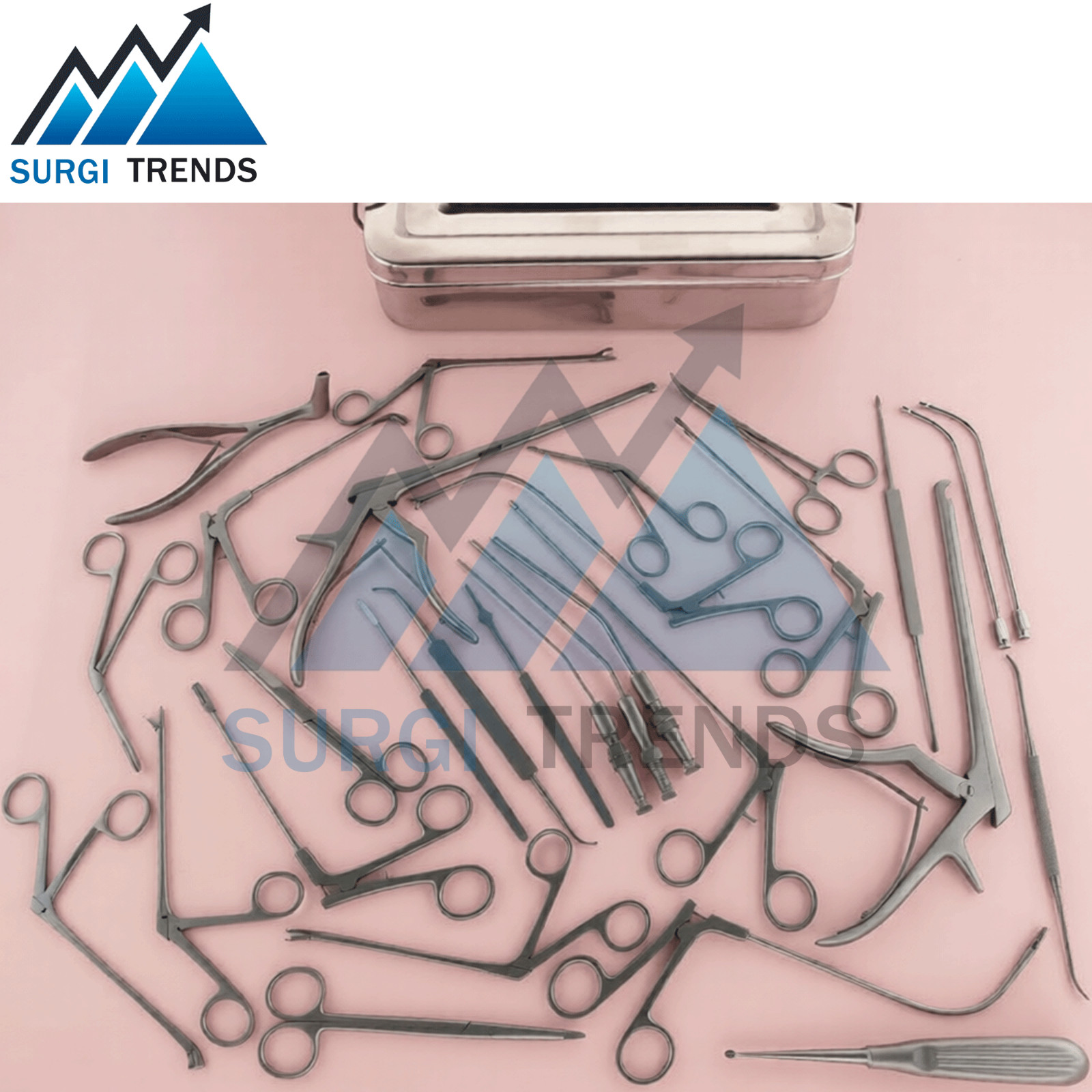 Fess Instruments Endoscopic Sinus Surgery ENT Instruments Set With Box