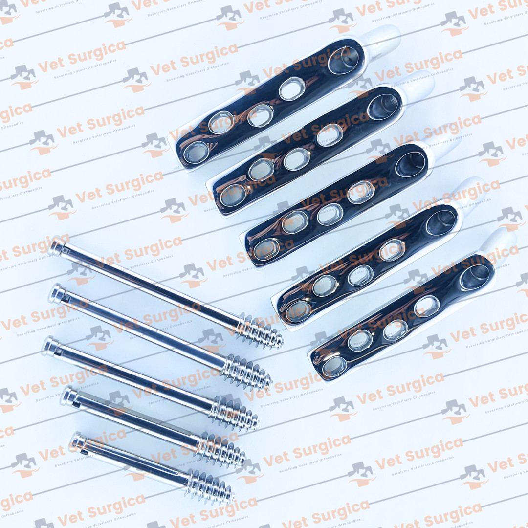 DHS 4.5mm DCP Plates 135° 4 Holes with Lag Screws 80mm to 100mm 10 Pcs Set SS