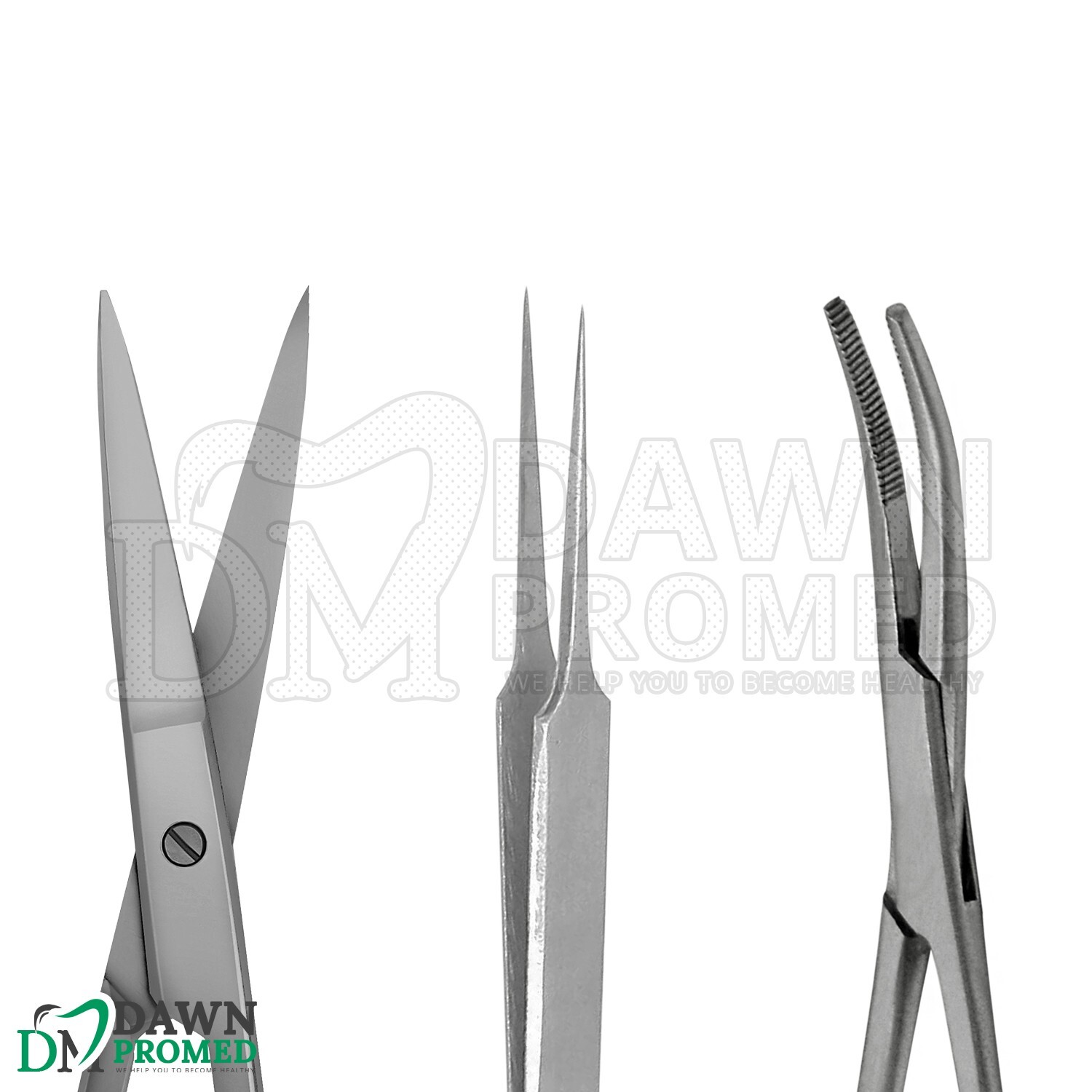 13 Pcs Bird Dissection Biology Kit German Grade Veterinary Instruments Tools Set