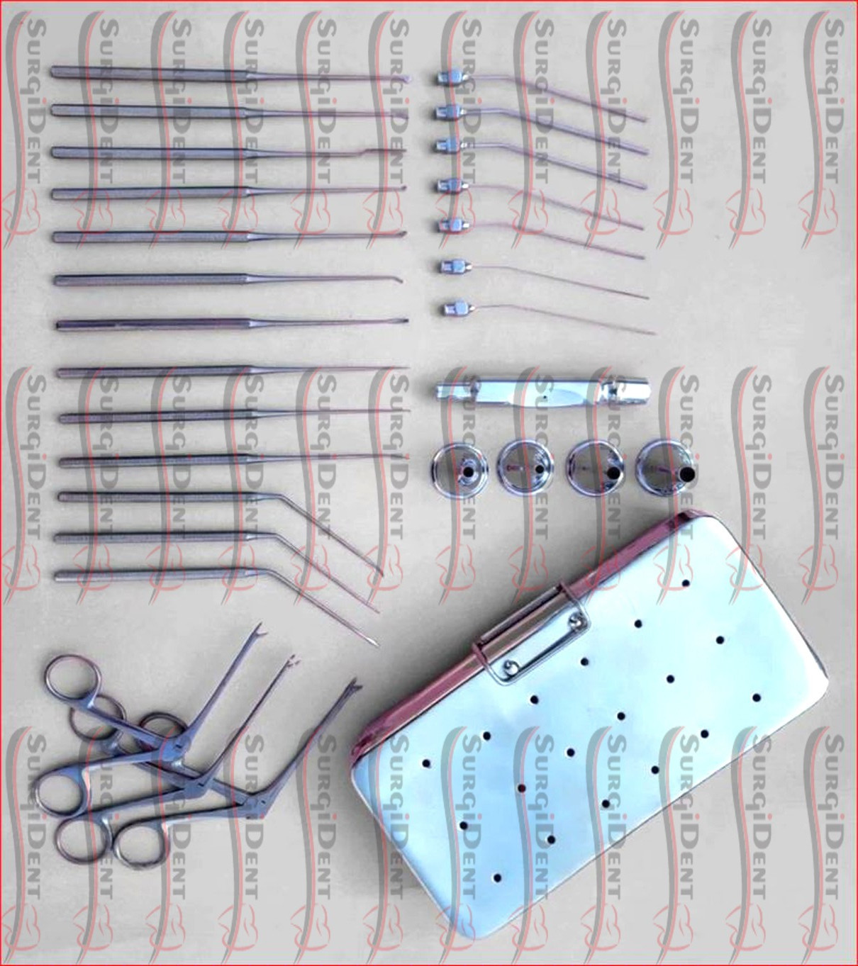 Myringoplasty Surgical ENT Instruments Shea Ear Operation Myringotomy 29Pcs Set
