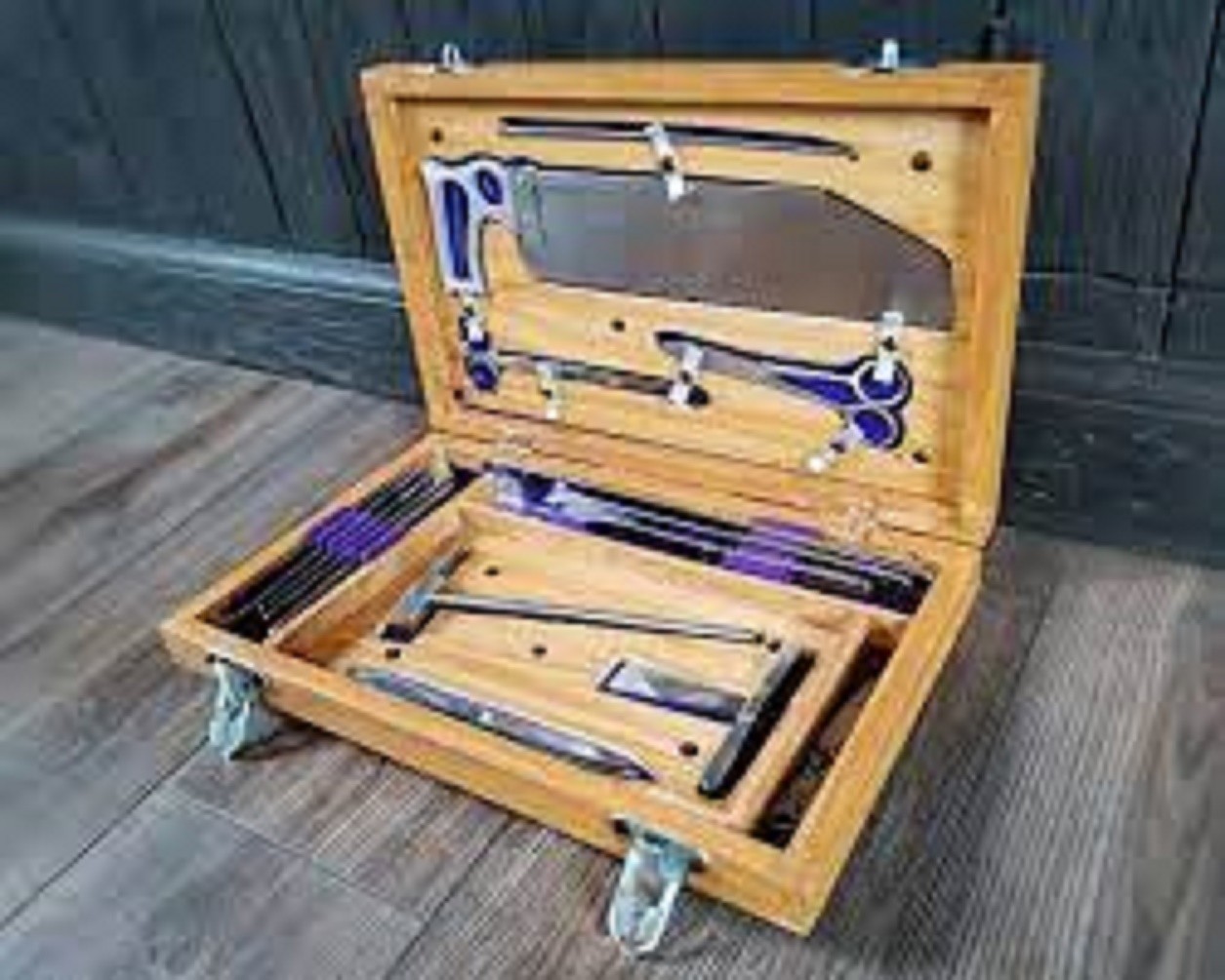 Post Mortem Instrument Set / Autopsy / Dissection Kit Anatomy 19Pcs Wooden Box