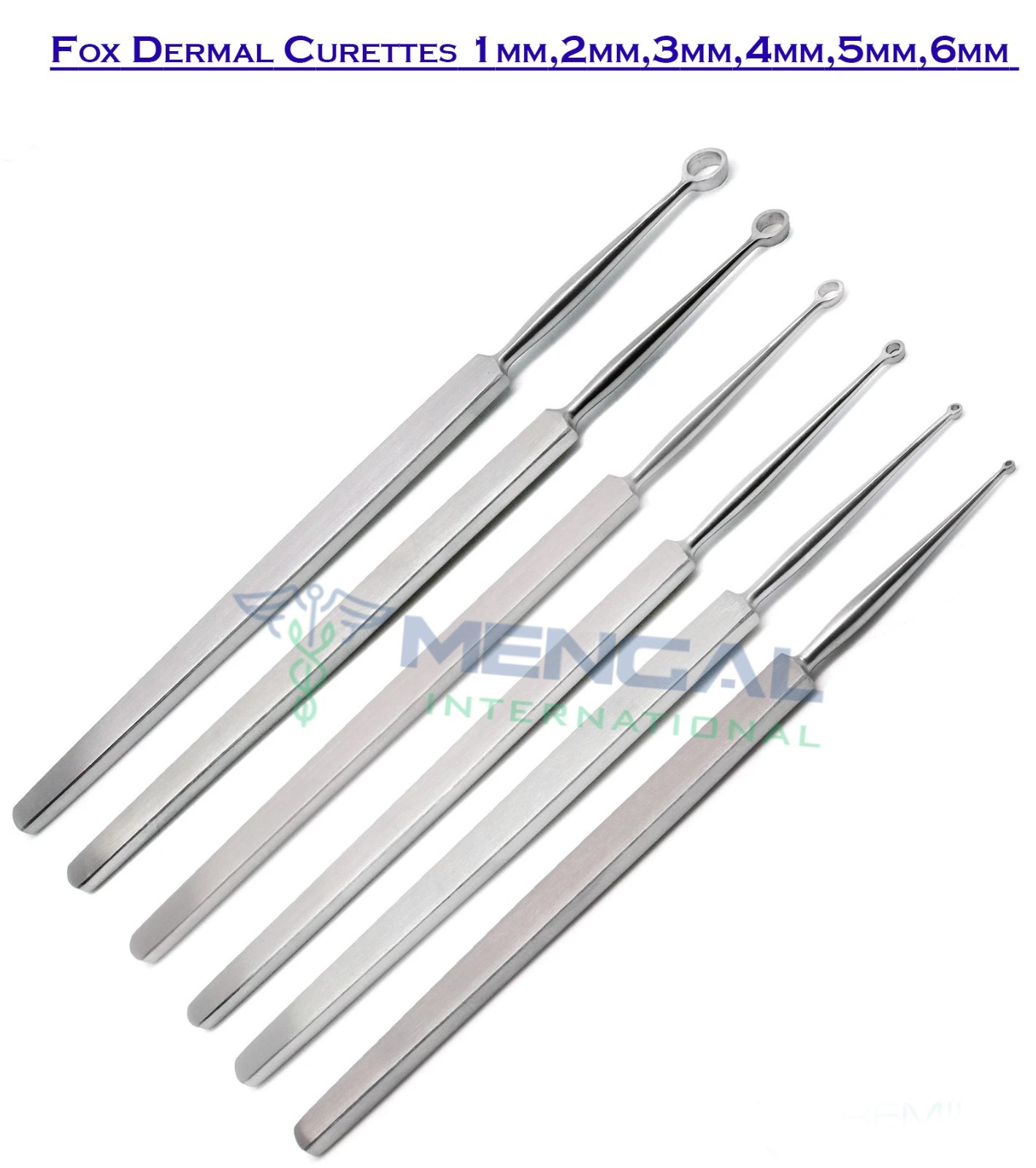 6 Pcs Fox Dermal Curettes Dermatology 1mm,2mm,3mm,4mm,5mm,6mm ENT Instruments