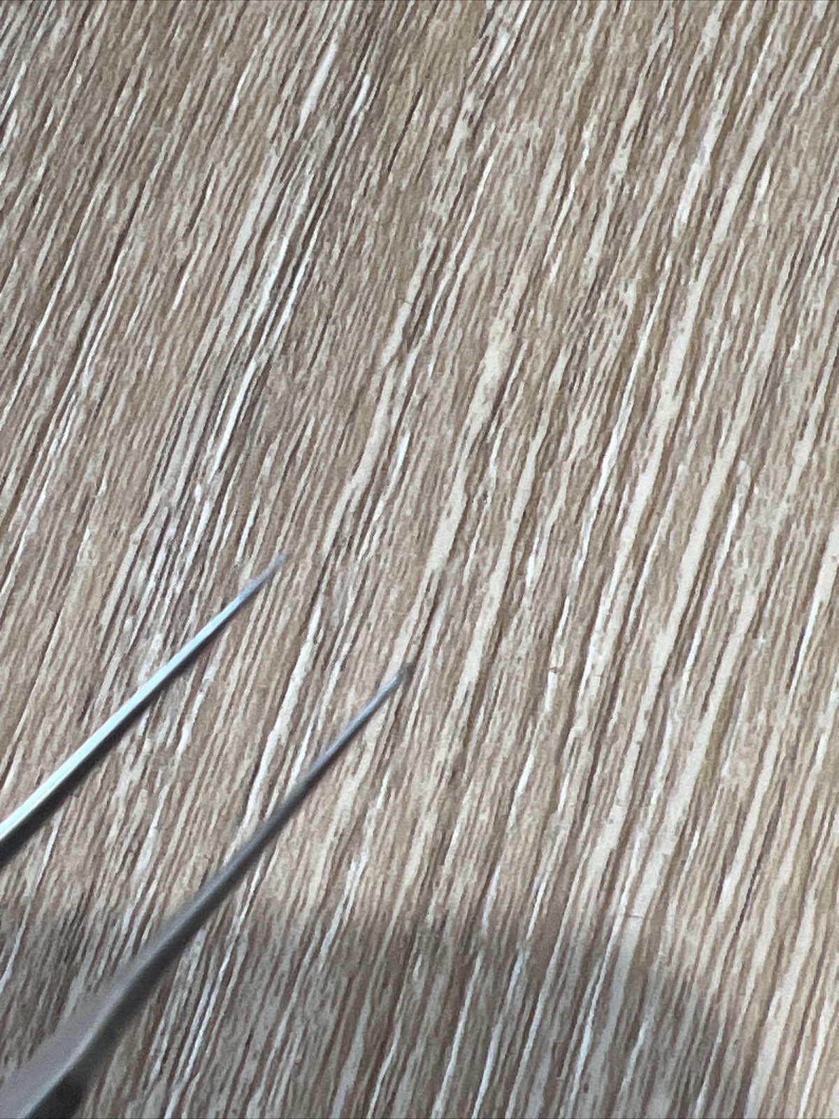 Bonn Suturing Forceps Ophthalmology Ophthalmic