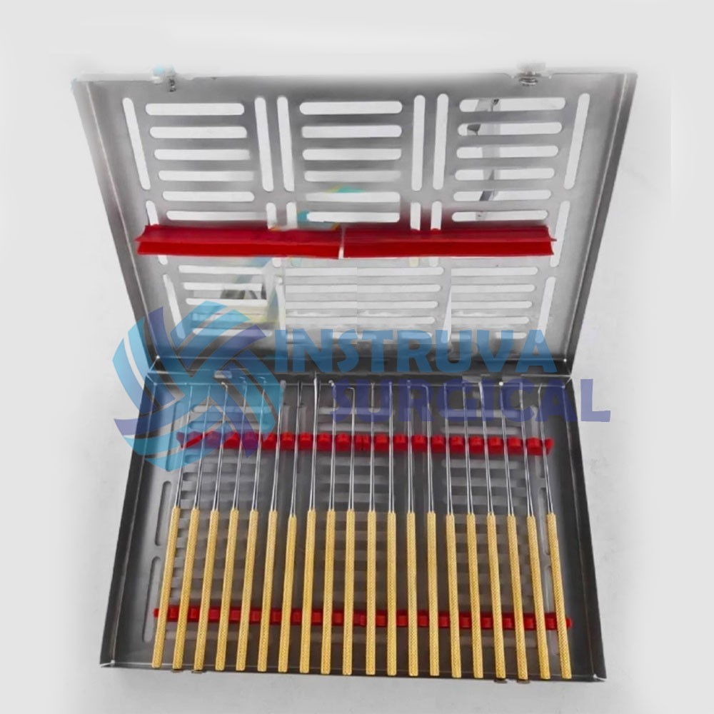 Rhoton Micro Dissector Set 20 Pieces with Gold Neurosurgery Surgical Instruments