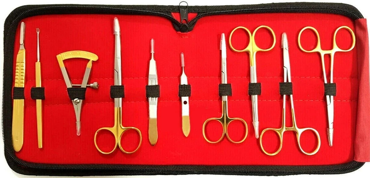 Blepharoplasty Kit,Plastic Surgery High Quality Instruments Kit Set of 10 PCS