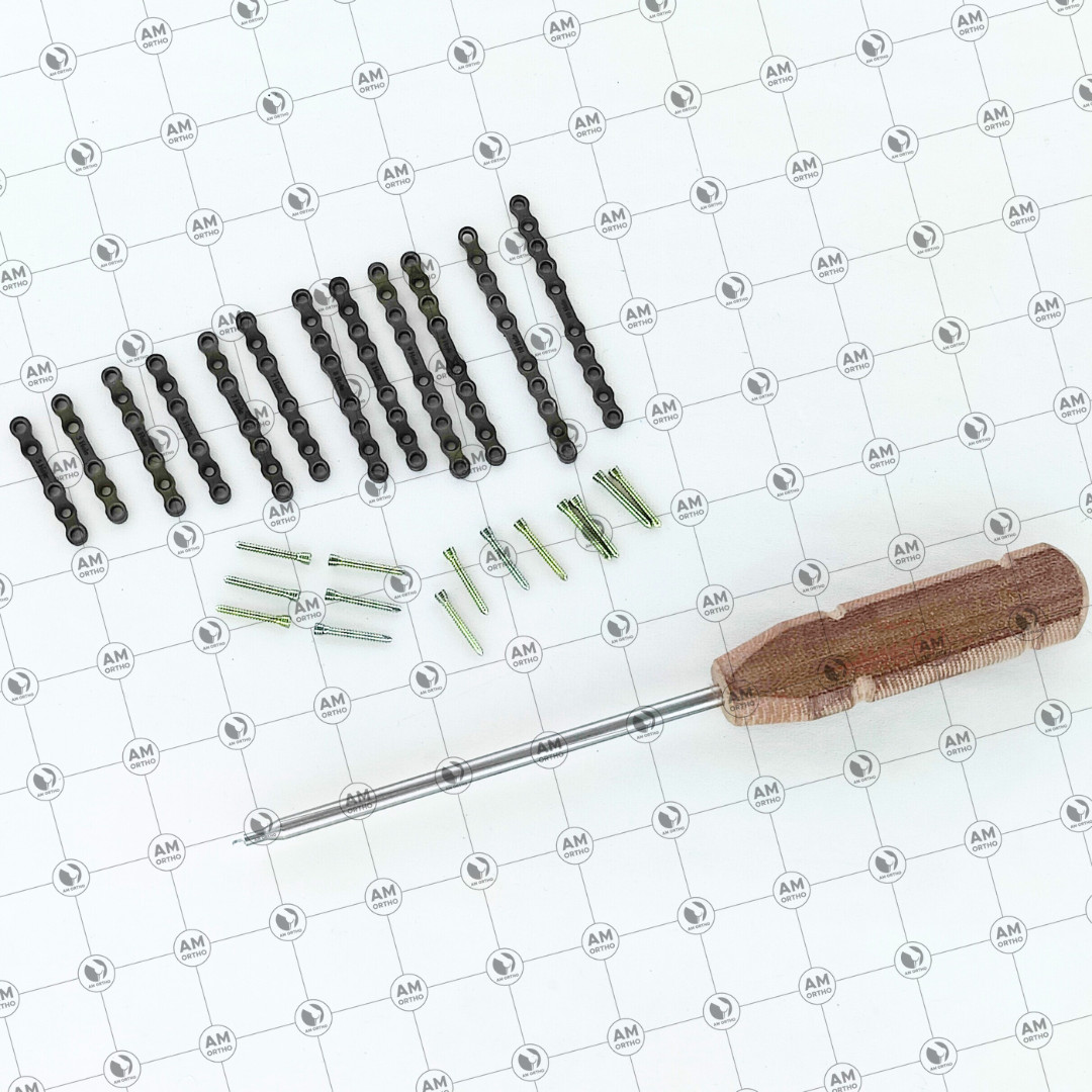 2.0mm Ṽeterinary Straight Plates 5-10 Holes with Locking Screws 83 Pcs Set Ti
