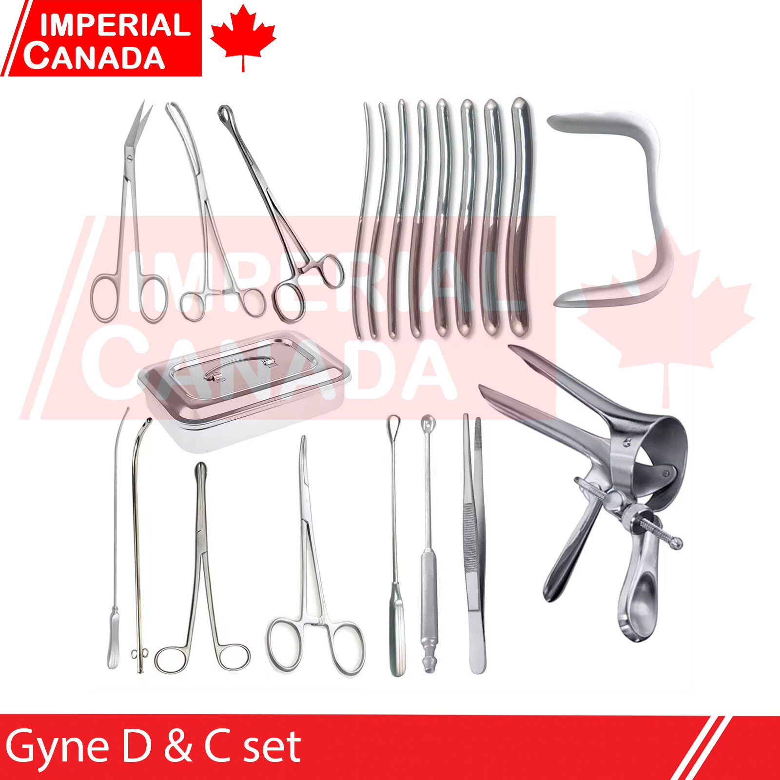 Gyne D & C Set Dilation and Curettage (D&C) Gynaecology Instruments 21 Pieces