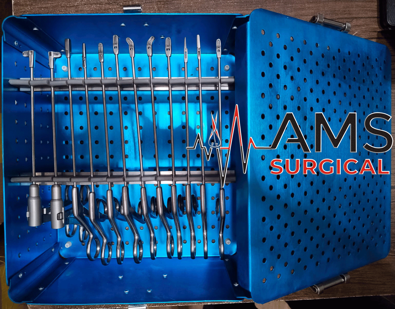 Arthroscopy Forceps Knee Set of 12 Pcs With Sterilization Aluminum Box