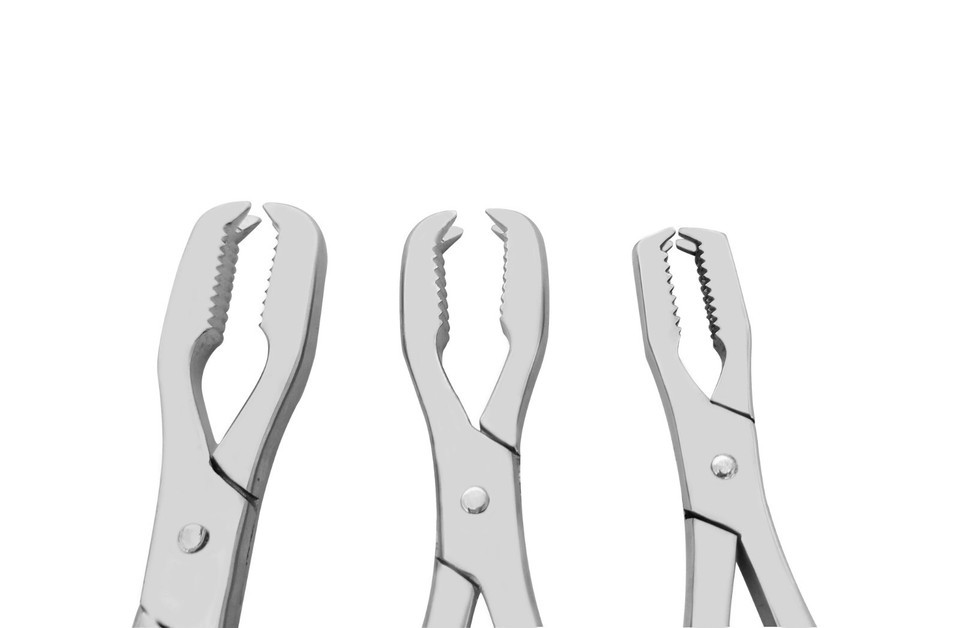 Lane Bone Holding Forceps Set 3 Pcs 6″ 10″ 12″ Veterinary Orthopedic Instruments