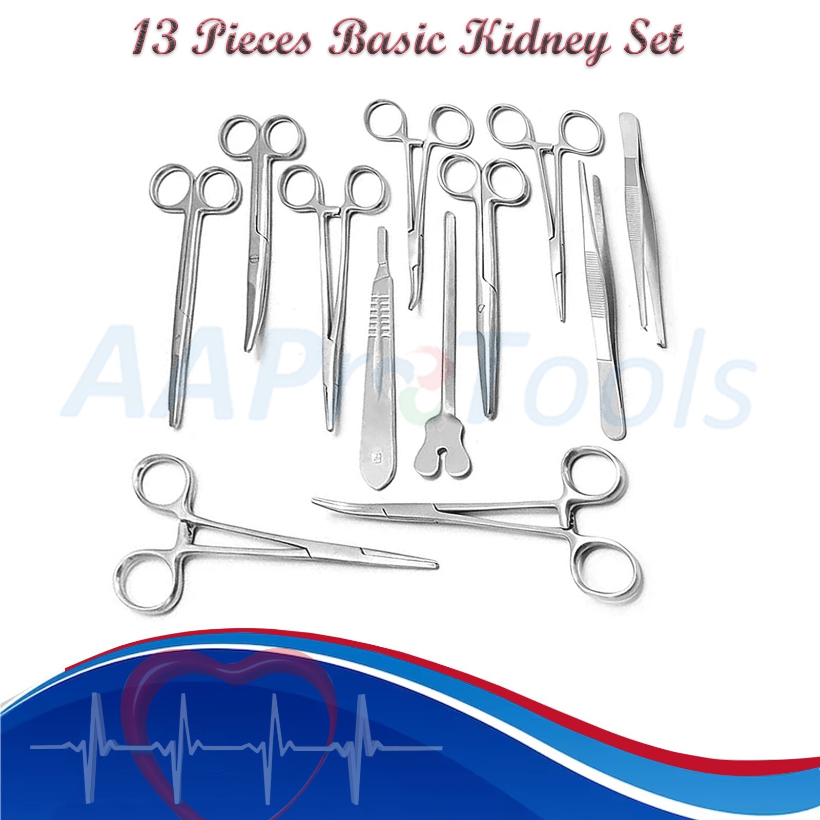 Set of 13 Pieces Basic Minor Surgery Kit Steel Kidney Tray Surgical Instruments