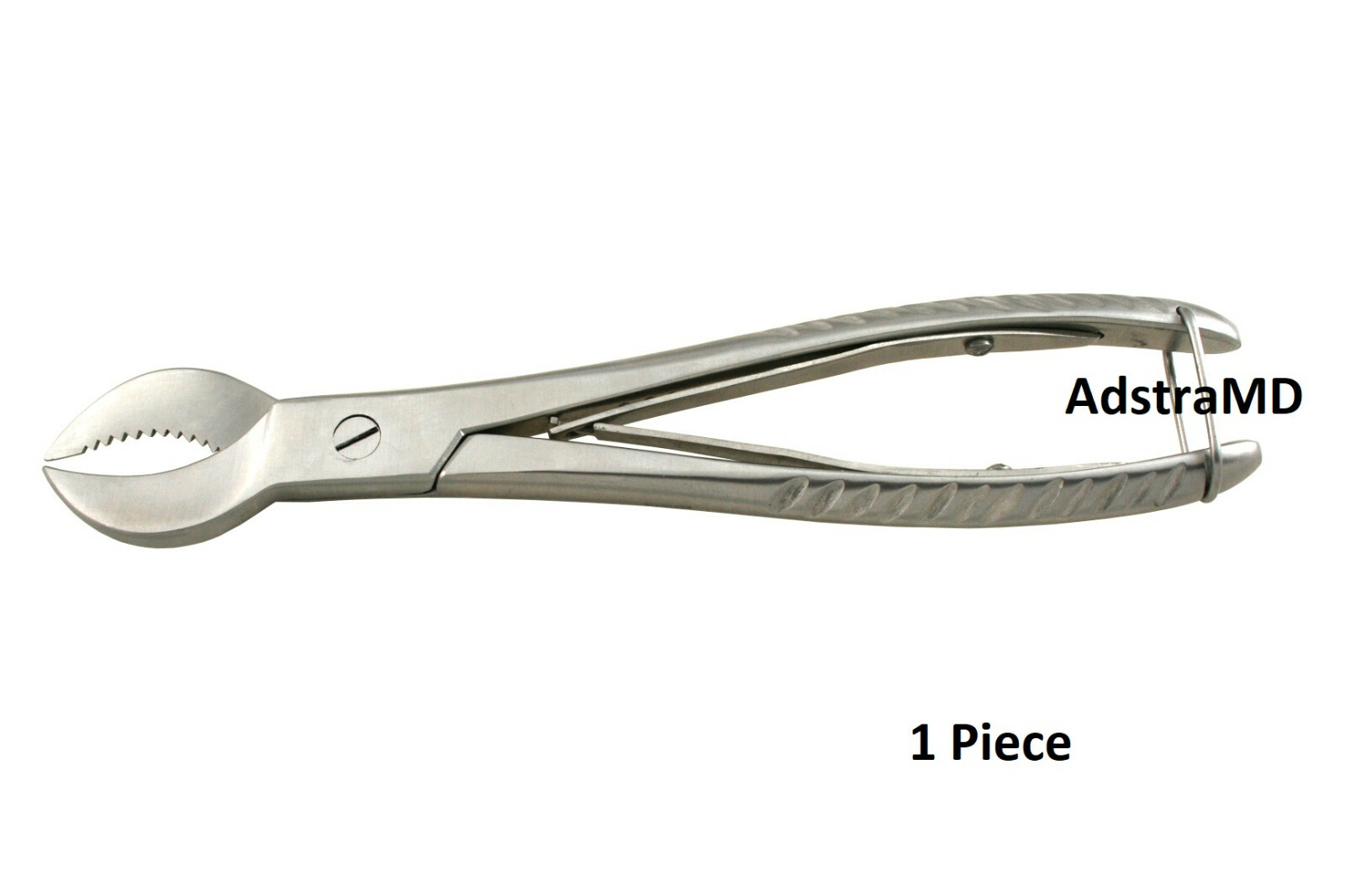 Cow Horn Plaster Nipper Dental Surgical Stainless Steel Instruments