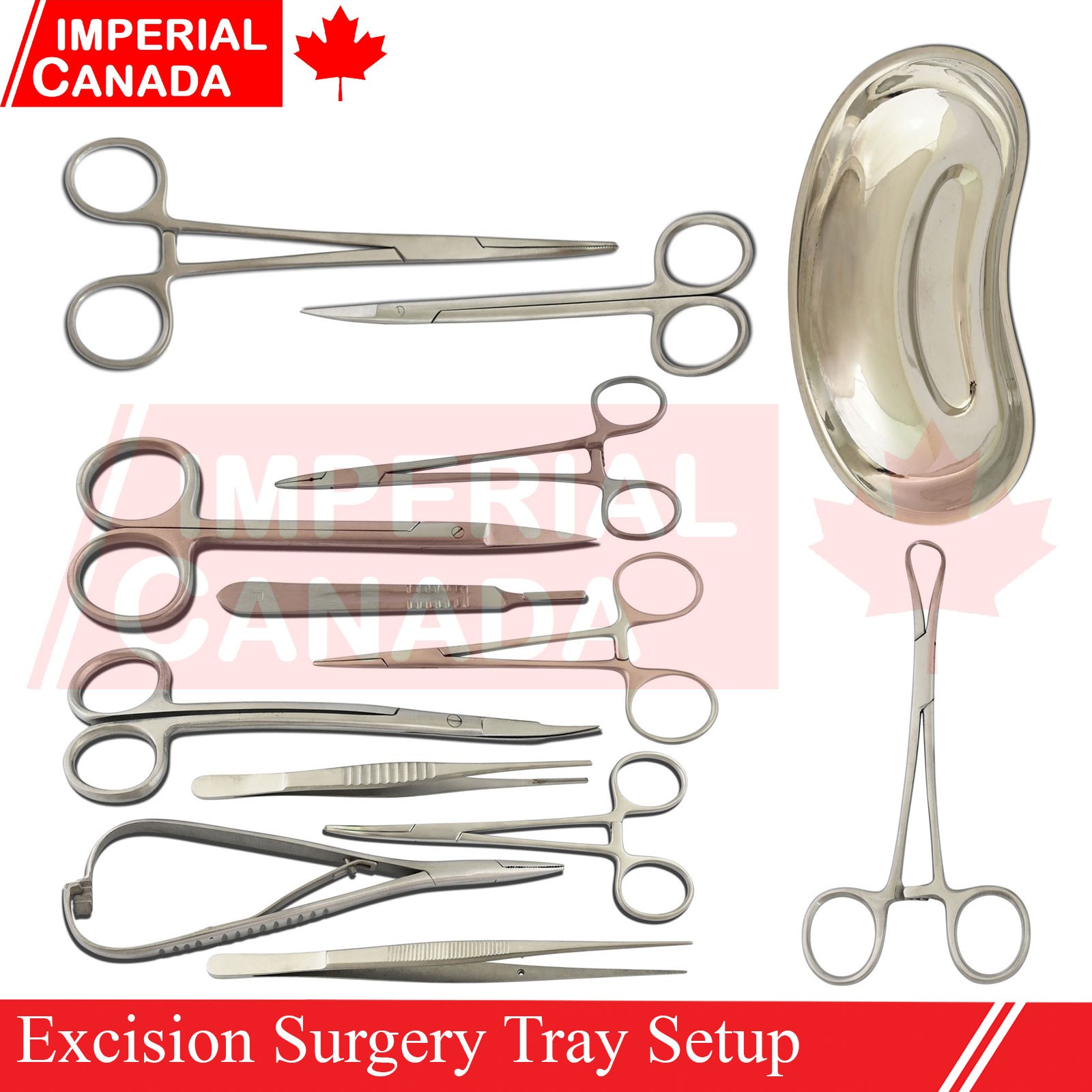 Basic Surgical Dermal Excision Minor Surgery Set Kit Surgical Kidney Tra DS-2237