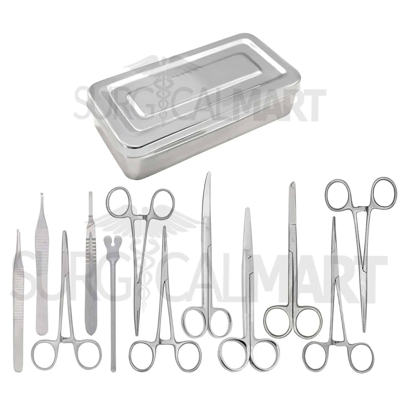Set of 13 Pieces Basic Minor Surgery Kit Steel Box Surgical Instruments