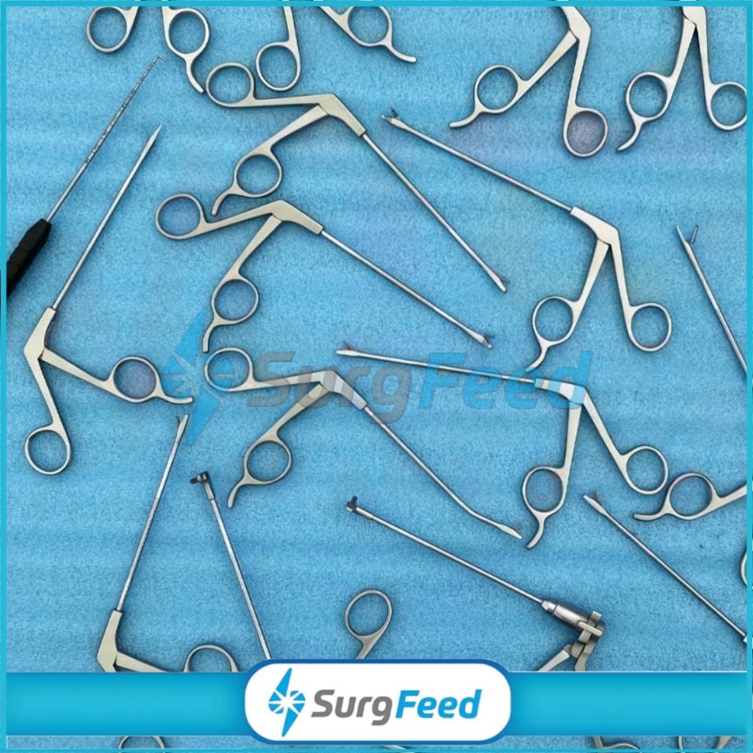 Arthroscopy Instrument Forceps Punches Set of 15 PCs Sterilization Box
