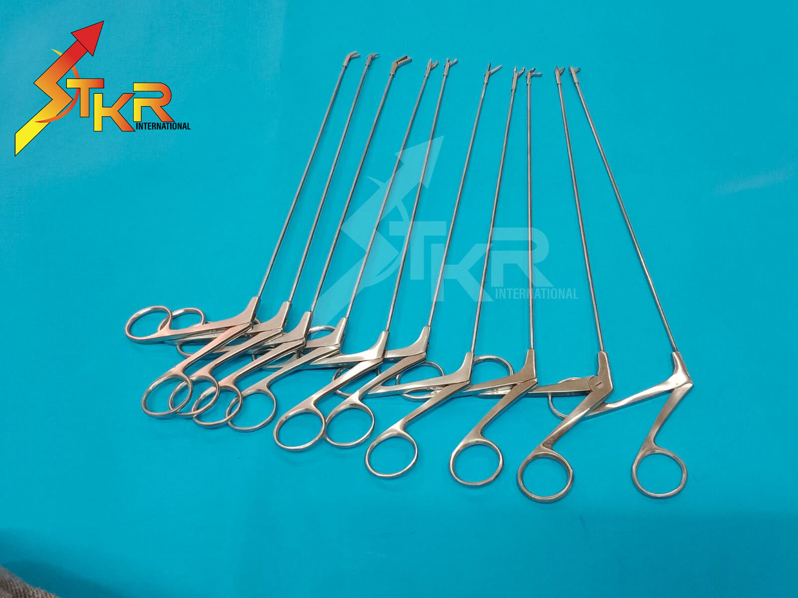 Micro Laryngeal Forceps Different Tapes of Length 10 PCS Forceps 25cm