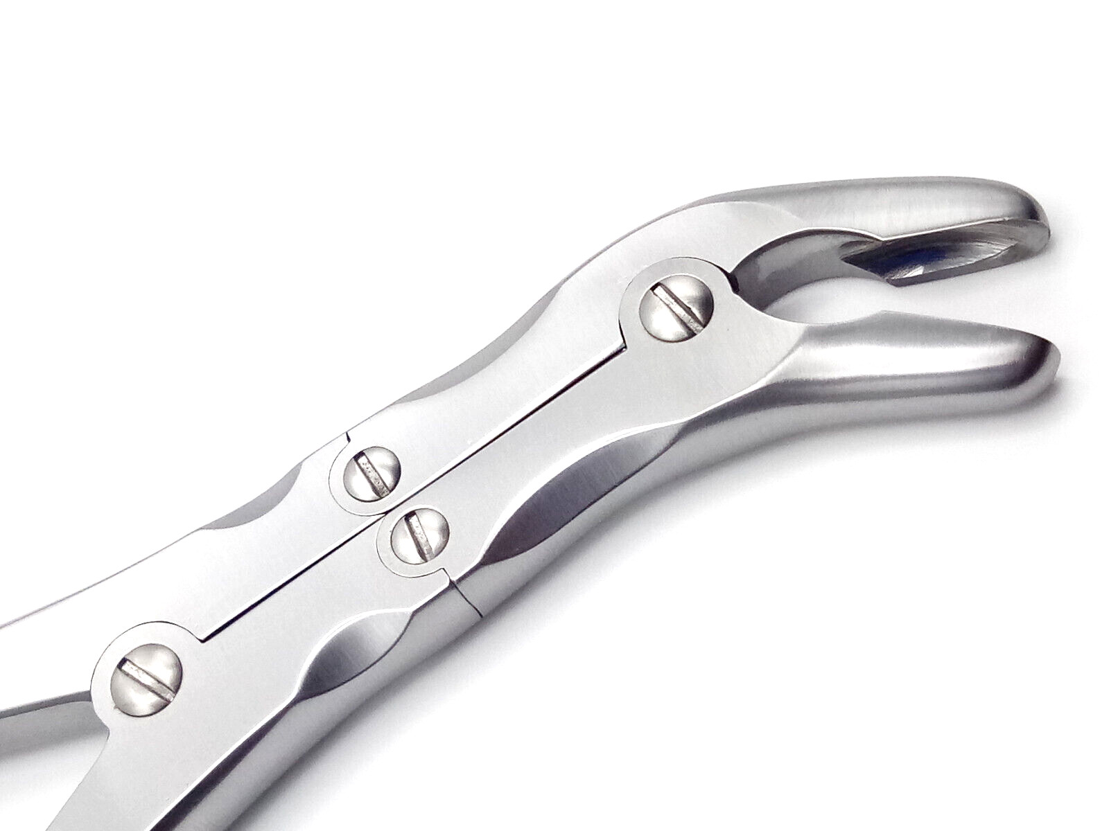2 Echlin Duckbill Bone Rongeur 22.5cm Bite 8mm STR & CUR Orthopedic Instruments