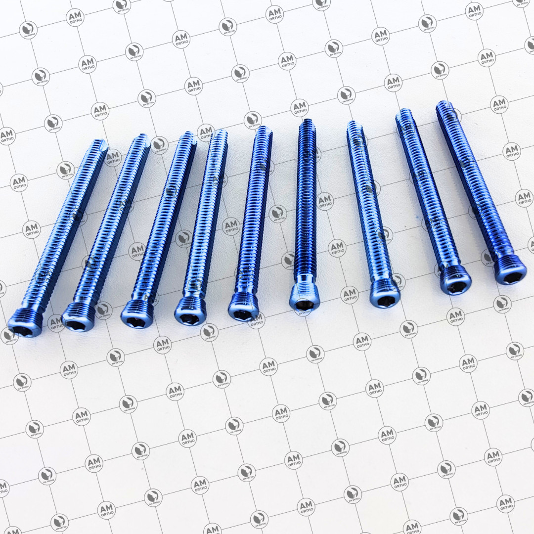AO Sáfety Locking Self Tápping 5.0mm Screws 20mm to 80mm 110 Pcs Set Titanium