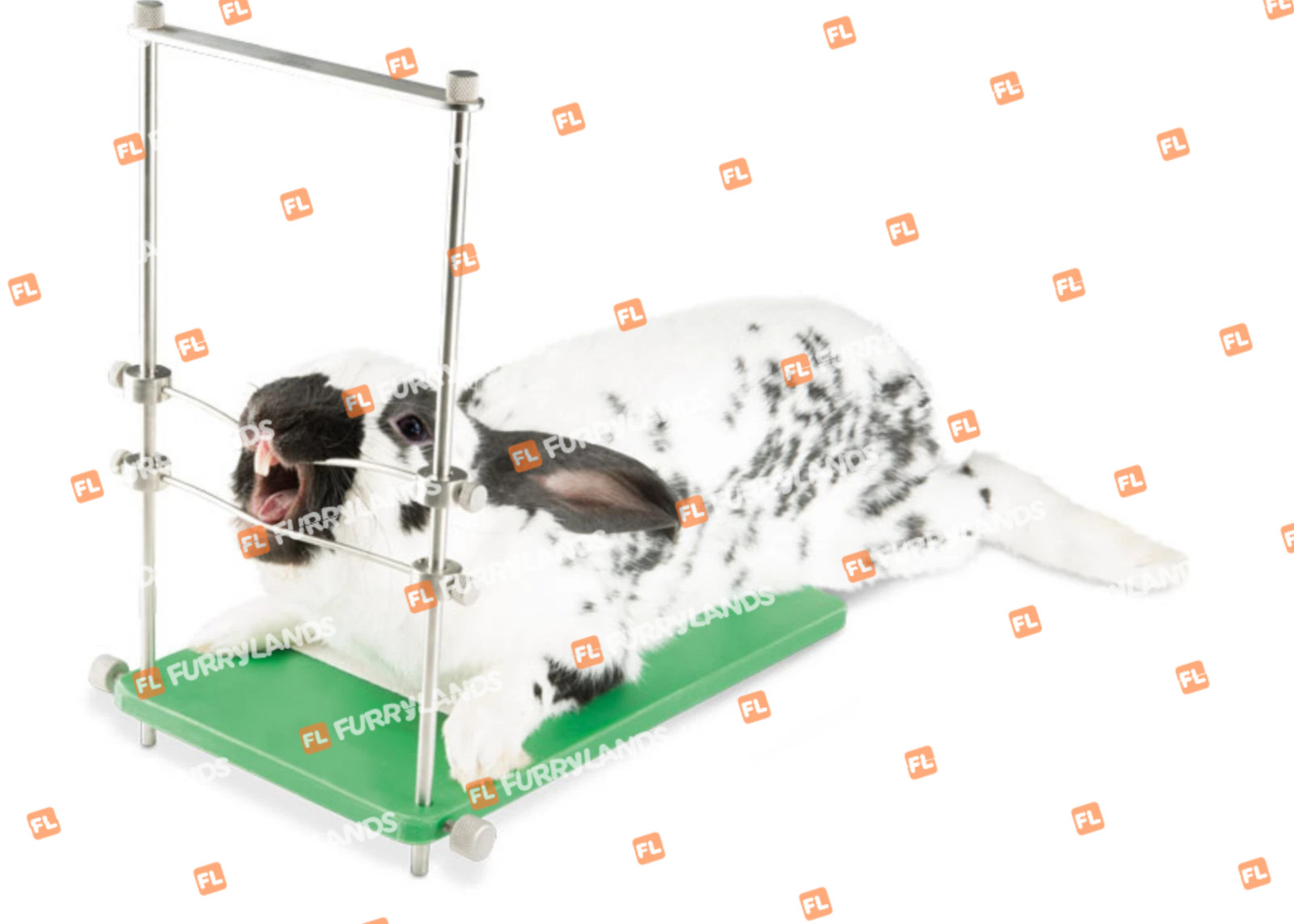 Rabbit & Rodent Mouth GagTable top Instrument