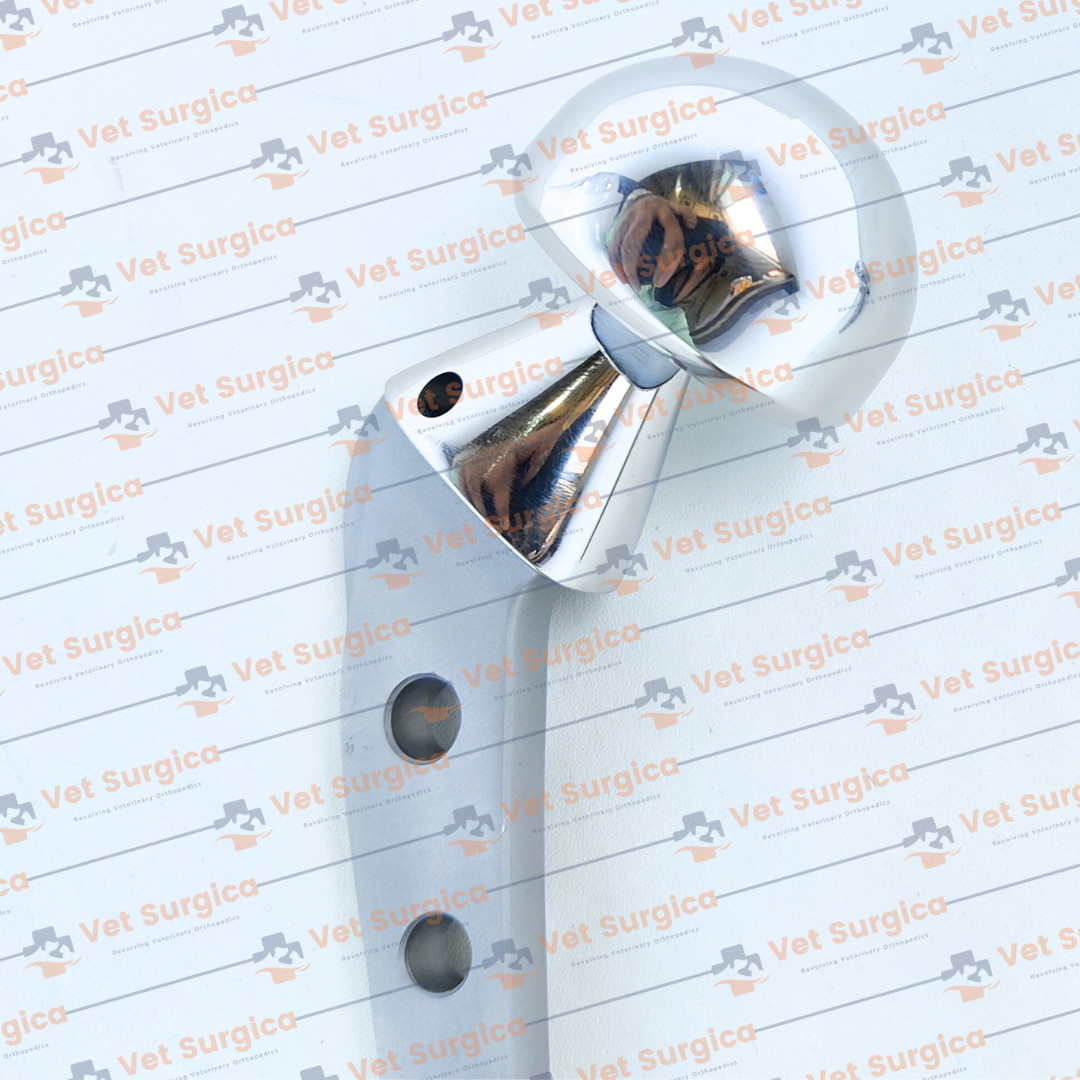 Bipolar Hip Prosthesis Orthopedic Instrument – Sizes 40mm & 41mm 2 Pcs Set