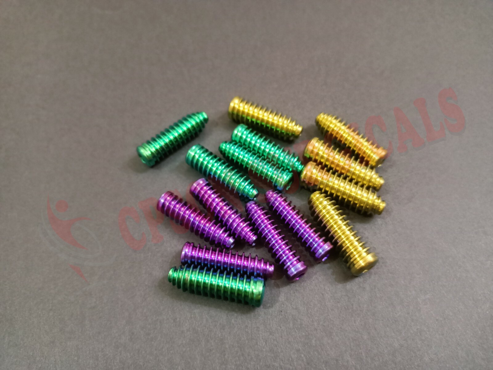 ACL Screw Titanium (Lot of 16pcs) + Screw Driver 1pc Veterinary Instrument