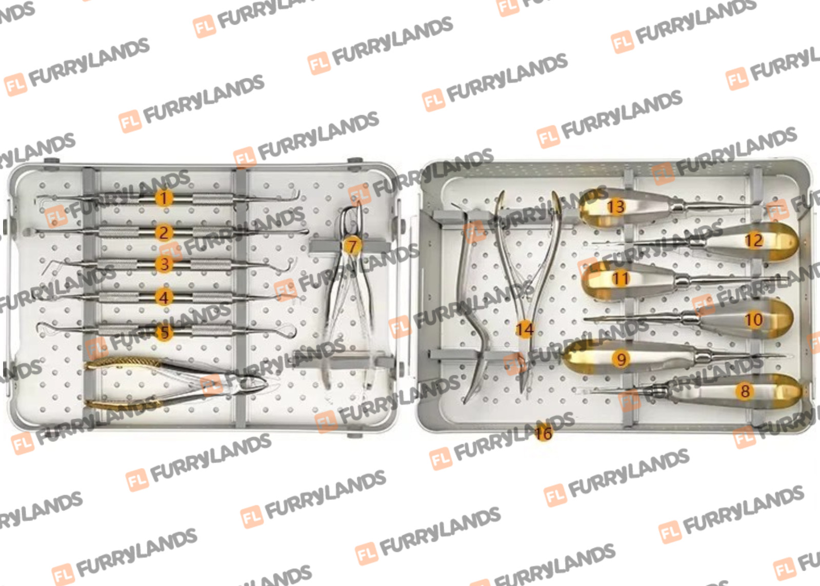 Small Animal Instrument Set Complete Oral Kit