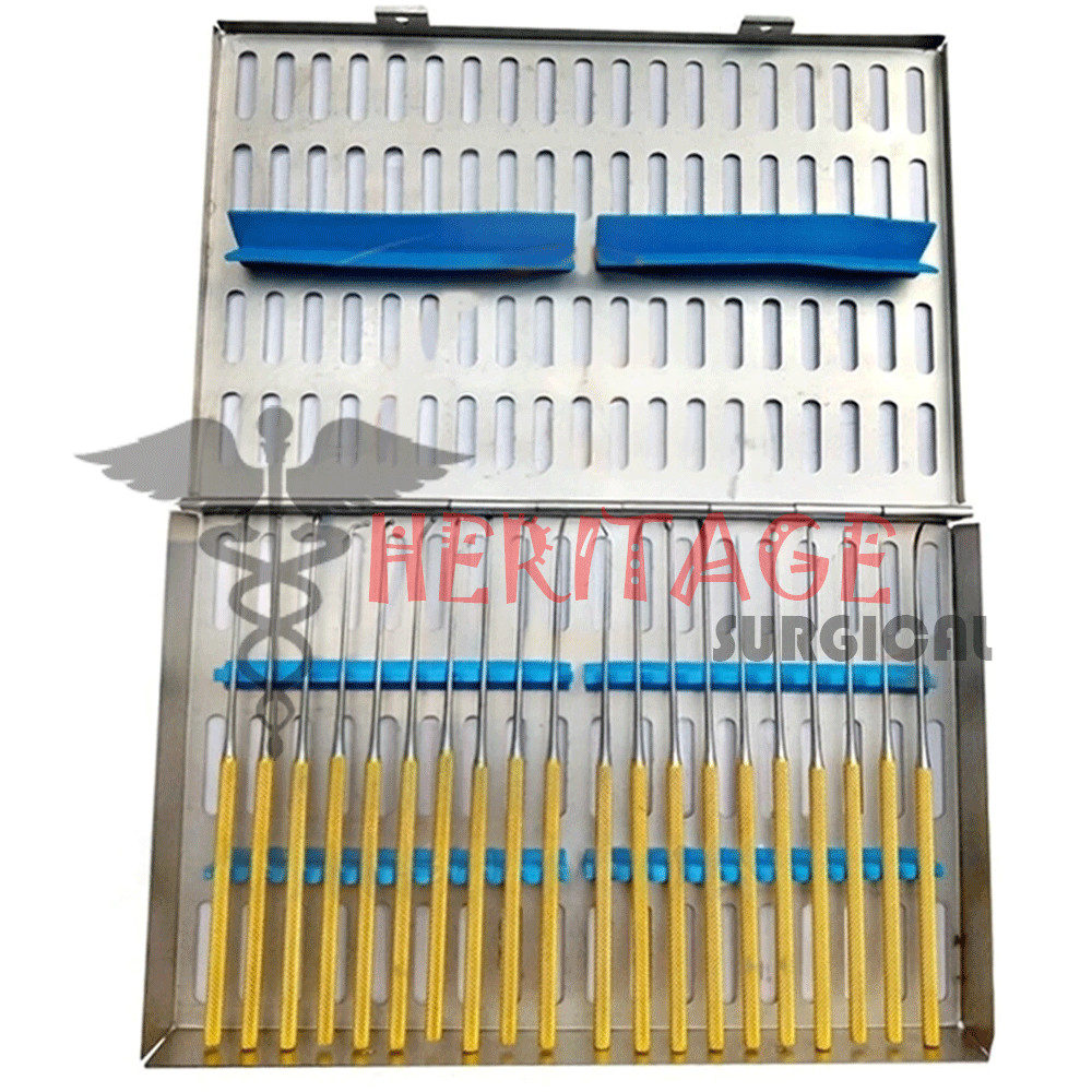 Rhoton Micro Dissector Set 20 Pieces with Gold Neurosurgery Surgical Instruments