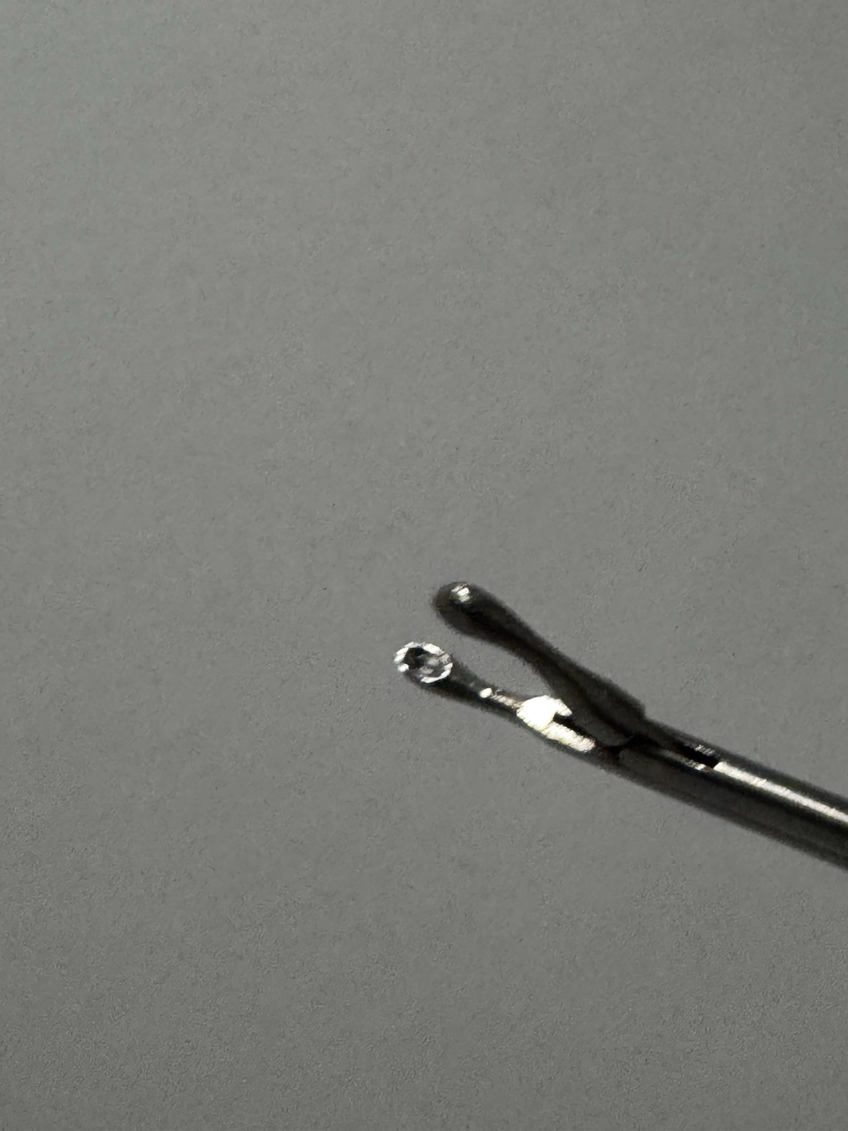 V. Mueller Rhoton Straight Micro Cup Forceps Model NL3785-023