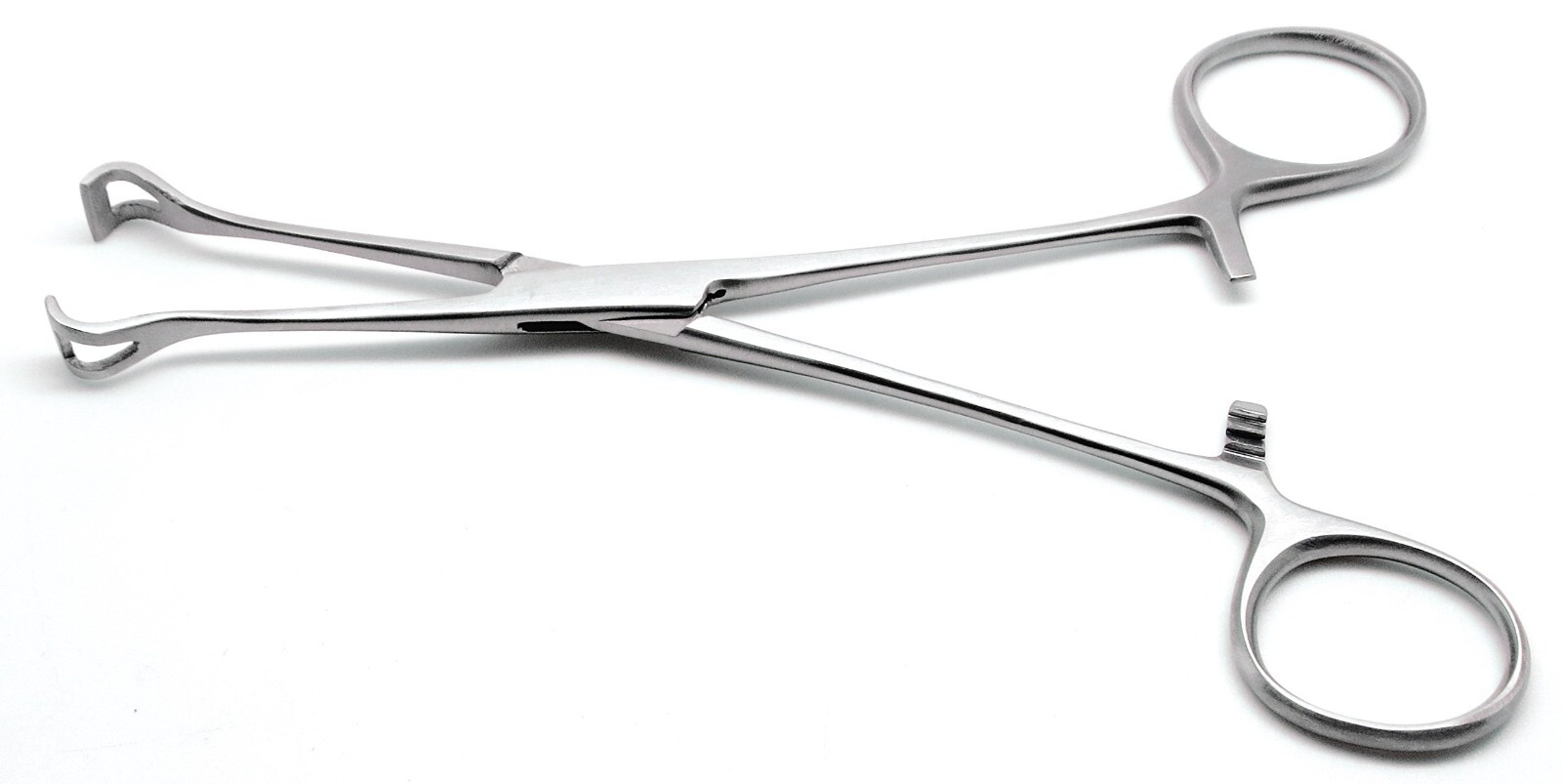 Babcock Organ Grasping Manipulation Forceps 14″ Stainless Steel